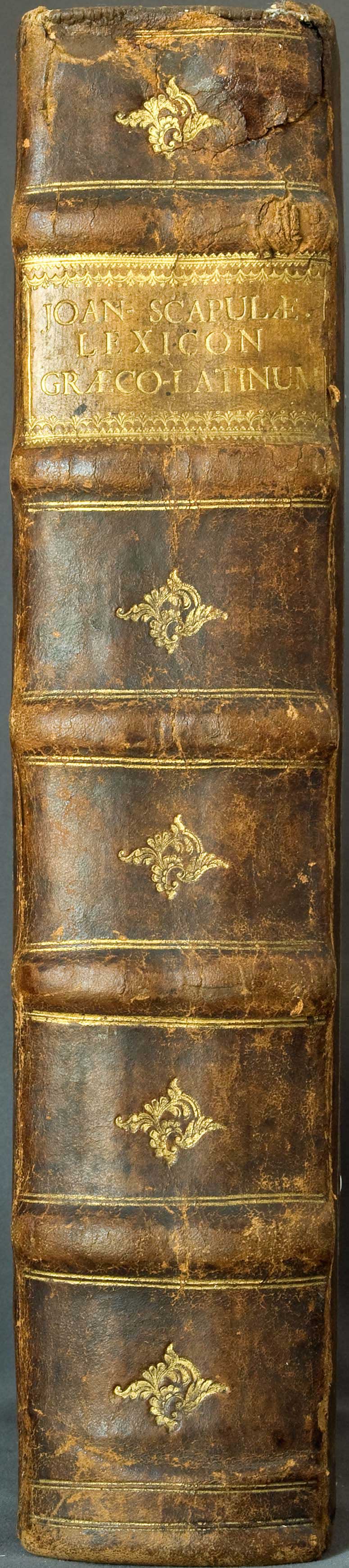 Lot 03006