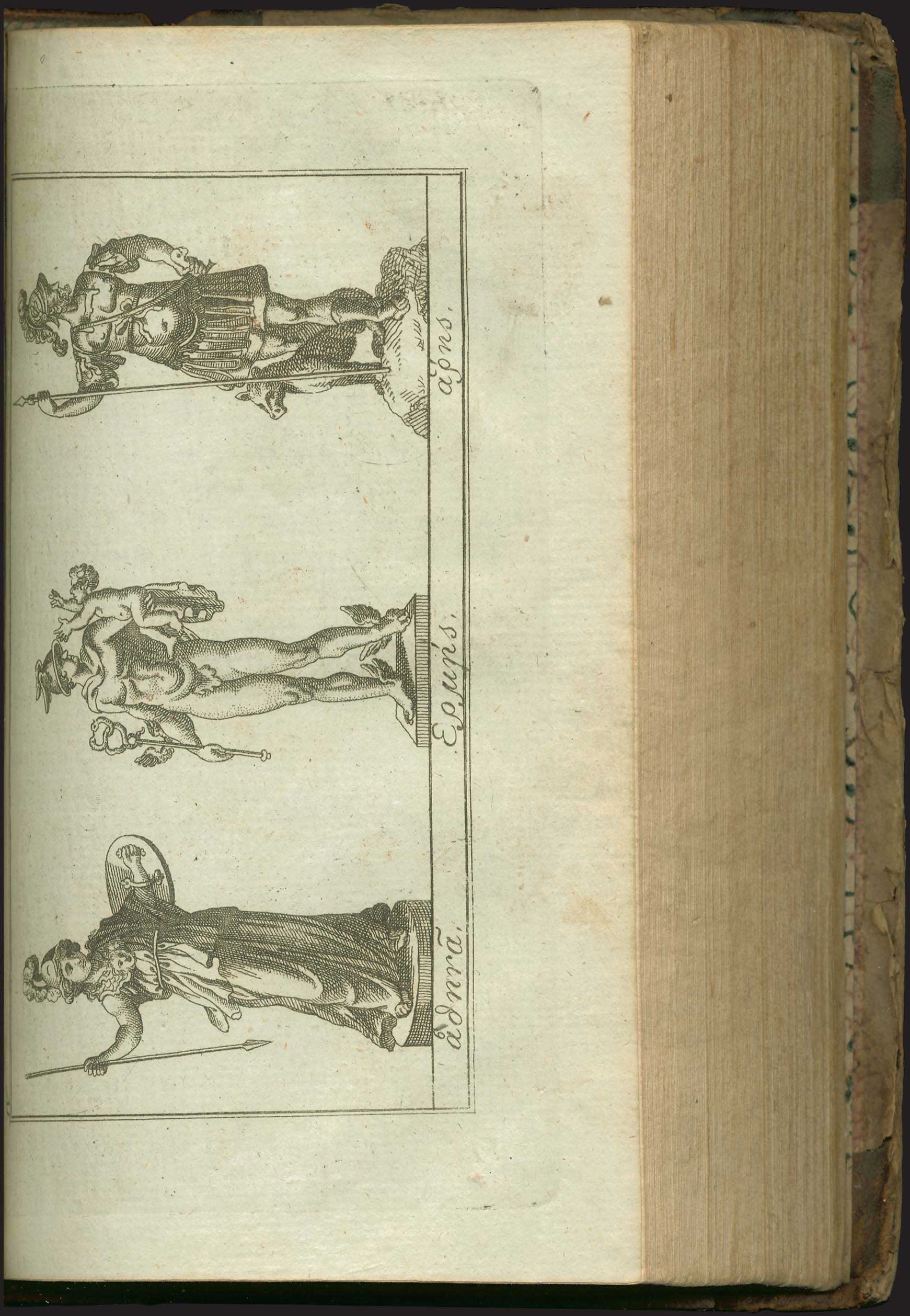 Lot 03018