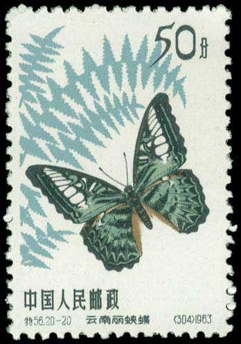 Lot 01171