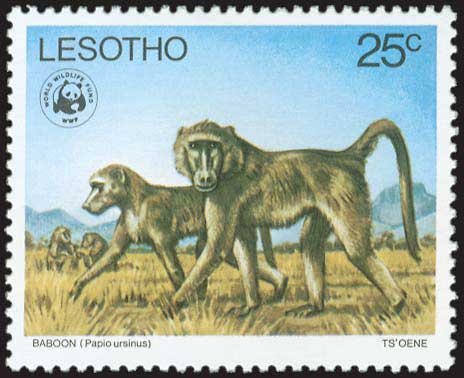 Lot 01452
