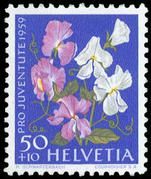 Lot 02152