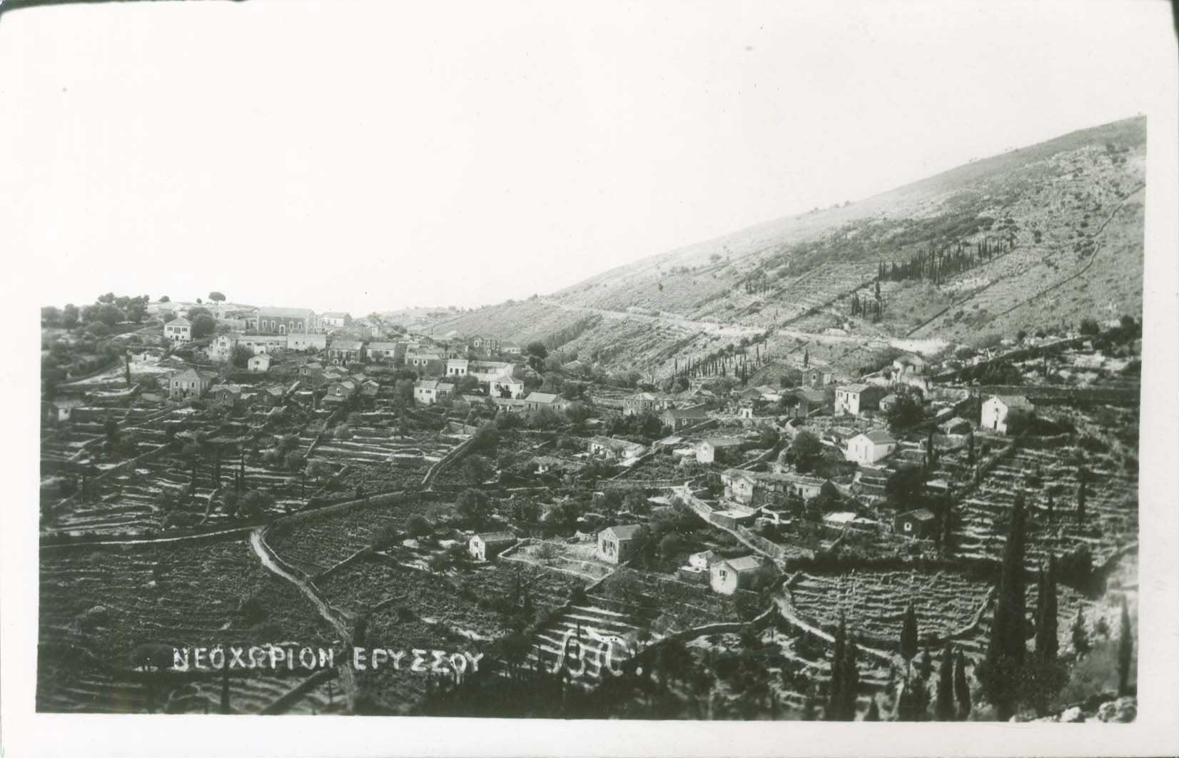 Lot 02219