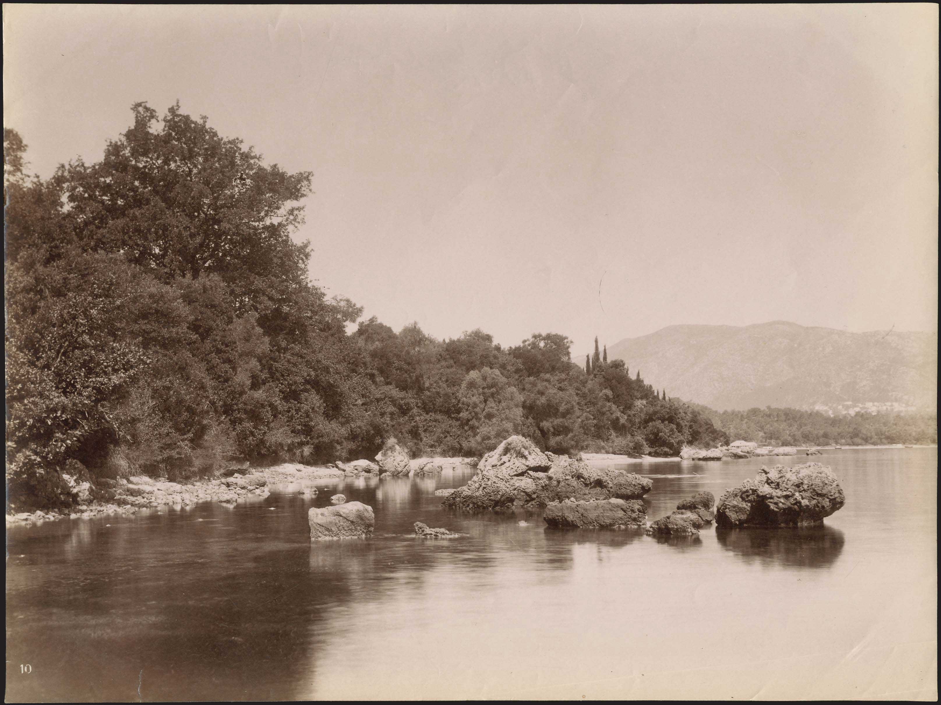Lot 09010