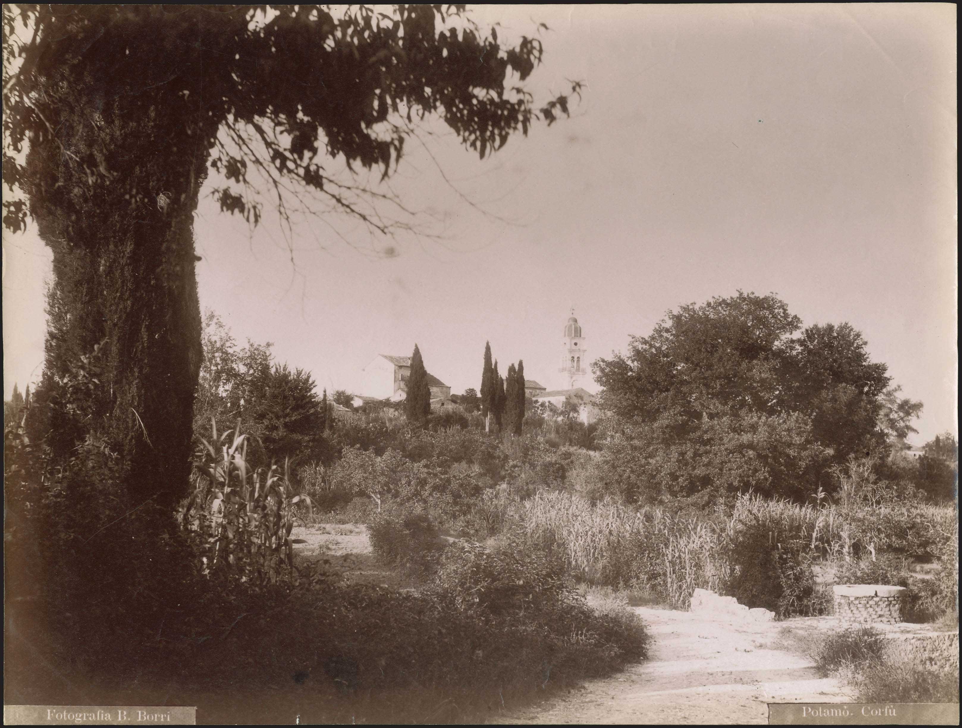 Lot 09013