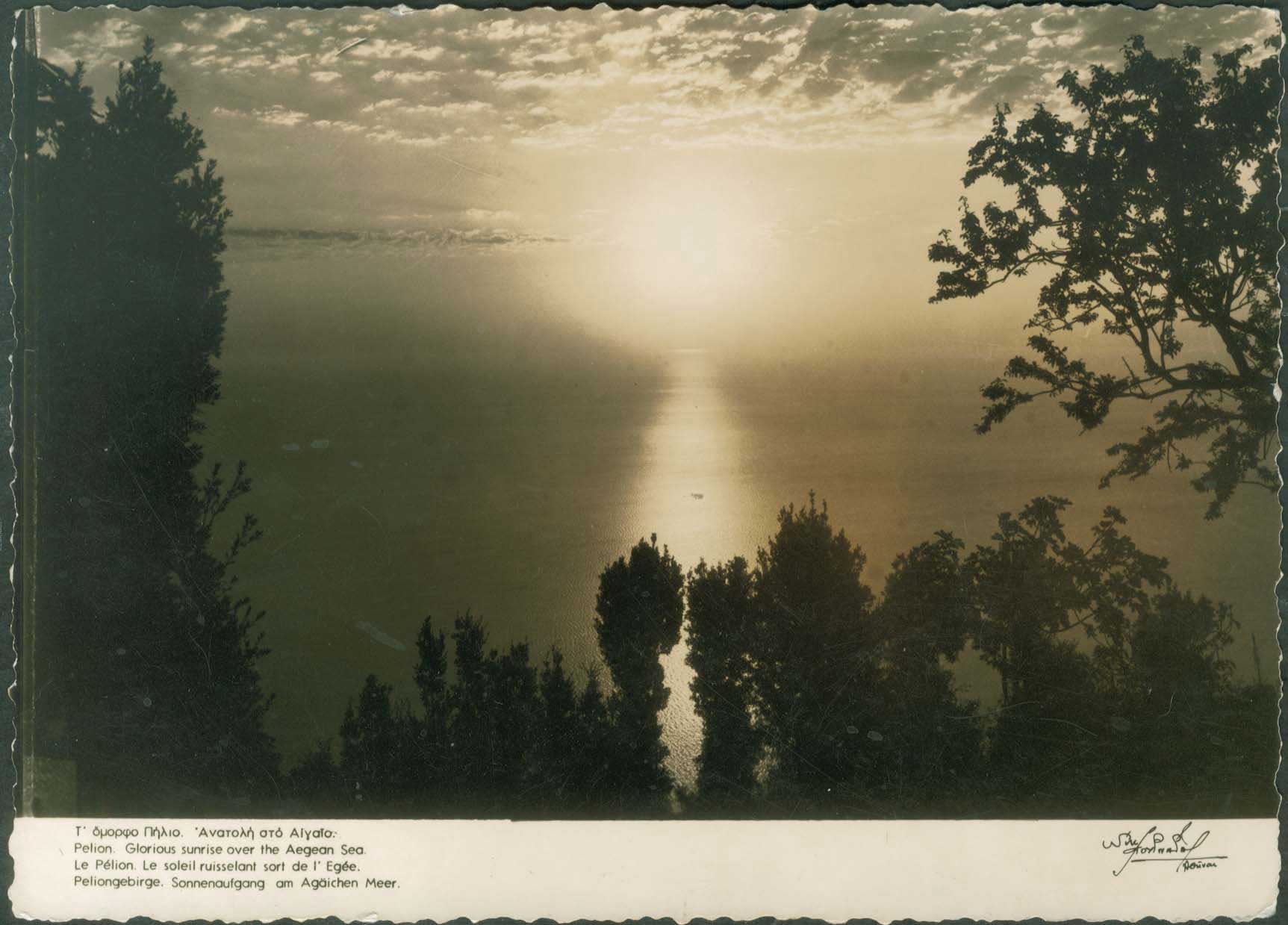 Lot 02220
