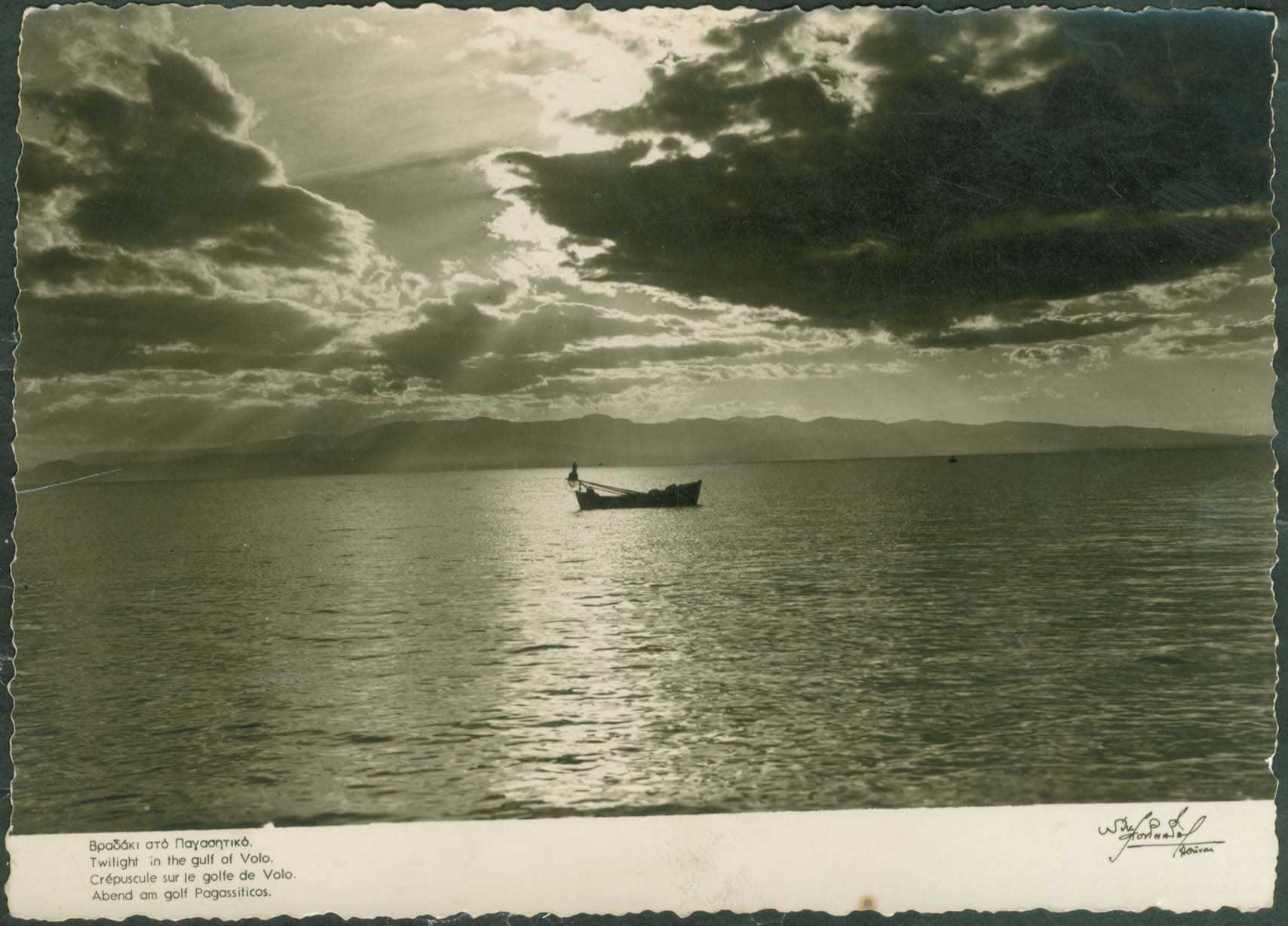 Lot 02239