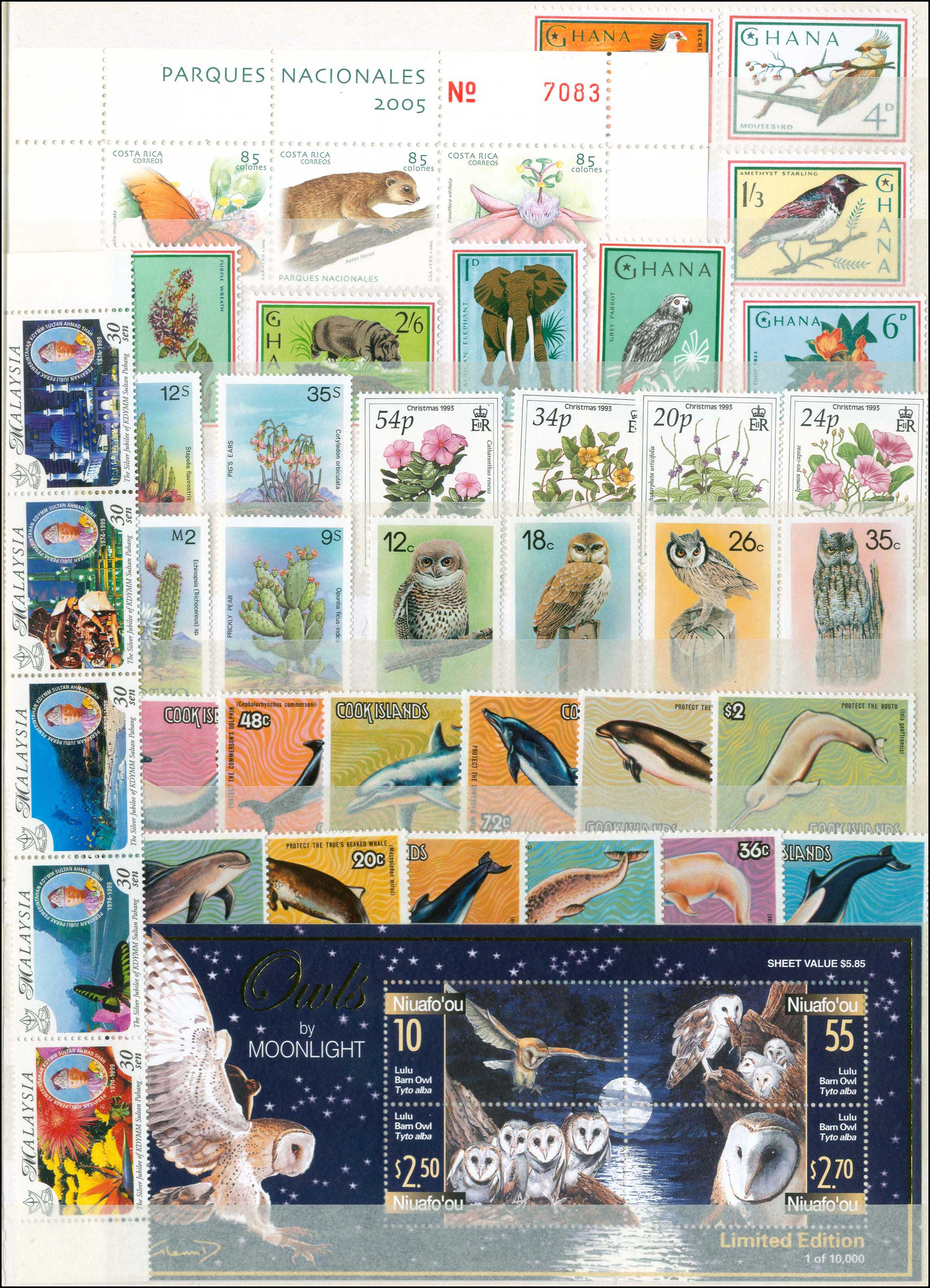 Lot 01882