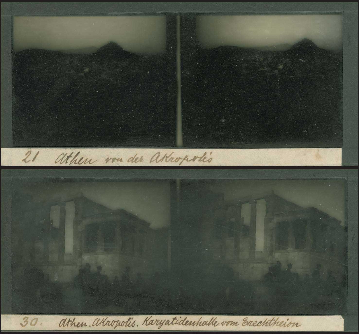 Lot 03019