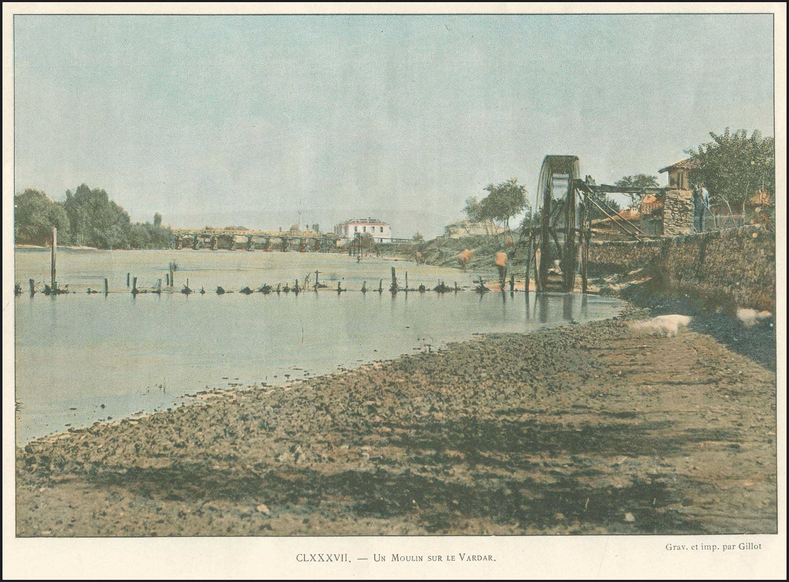 Lot 03002
