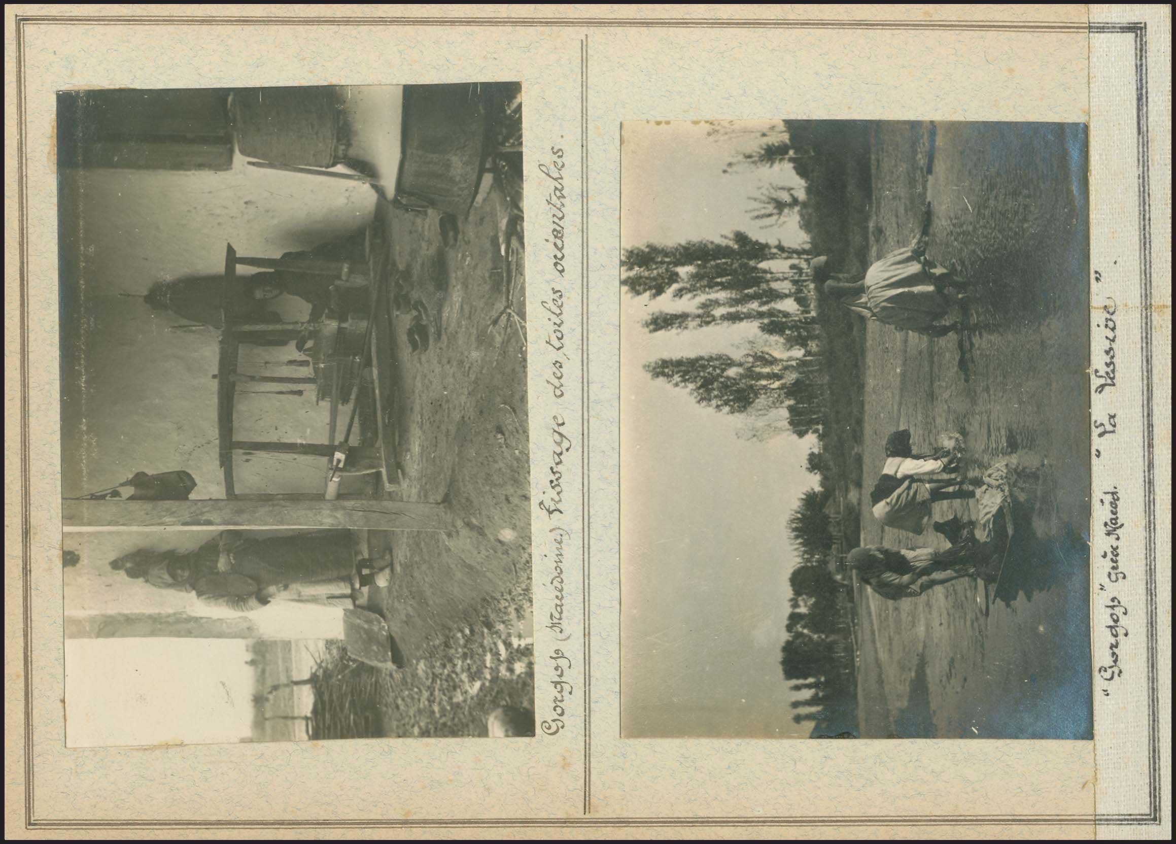 Lot 03006