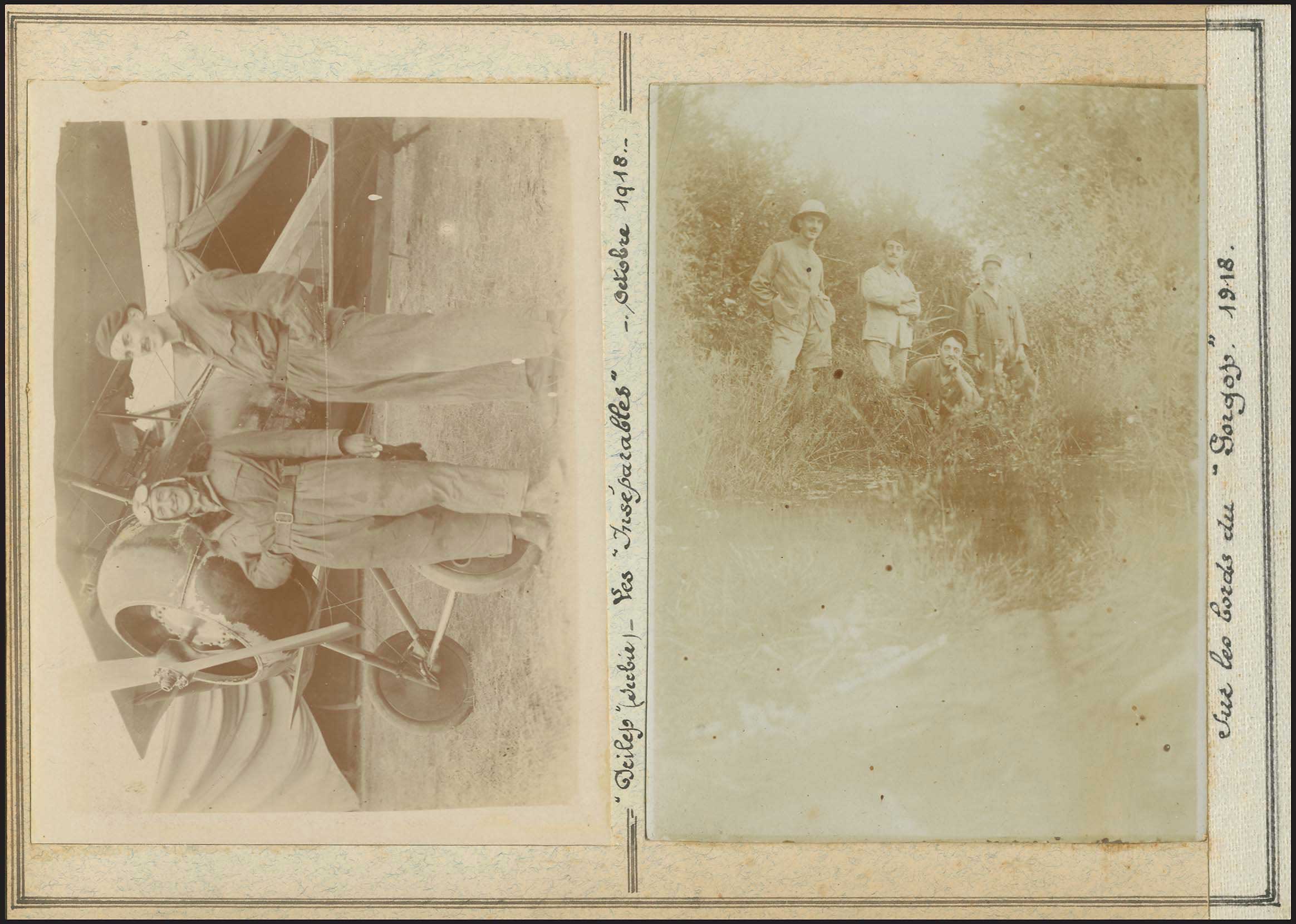 Lot 03006
