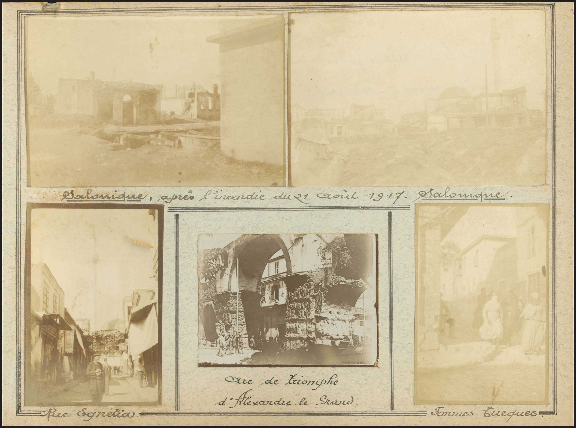 Lot 03006