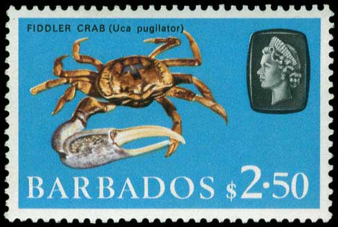 Lot 02099