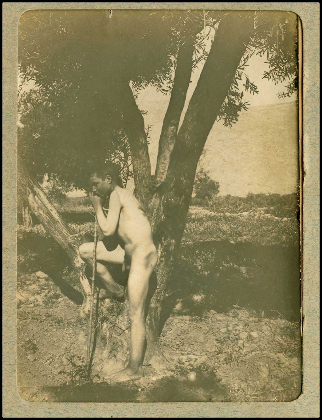 Lot 03007