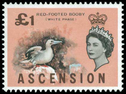 Lot 02081