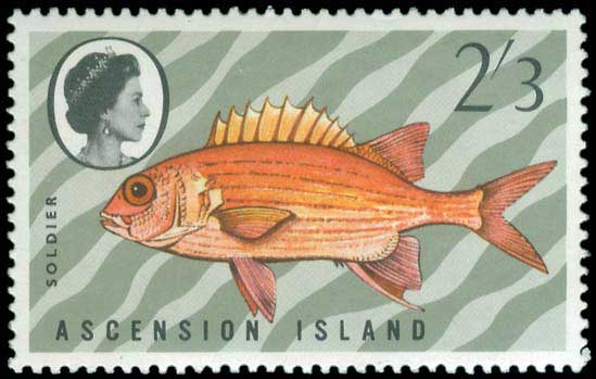 Lot 02082