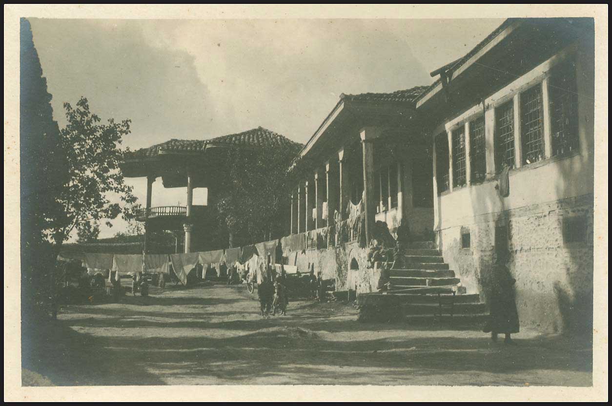 Lot 03005