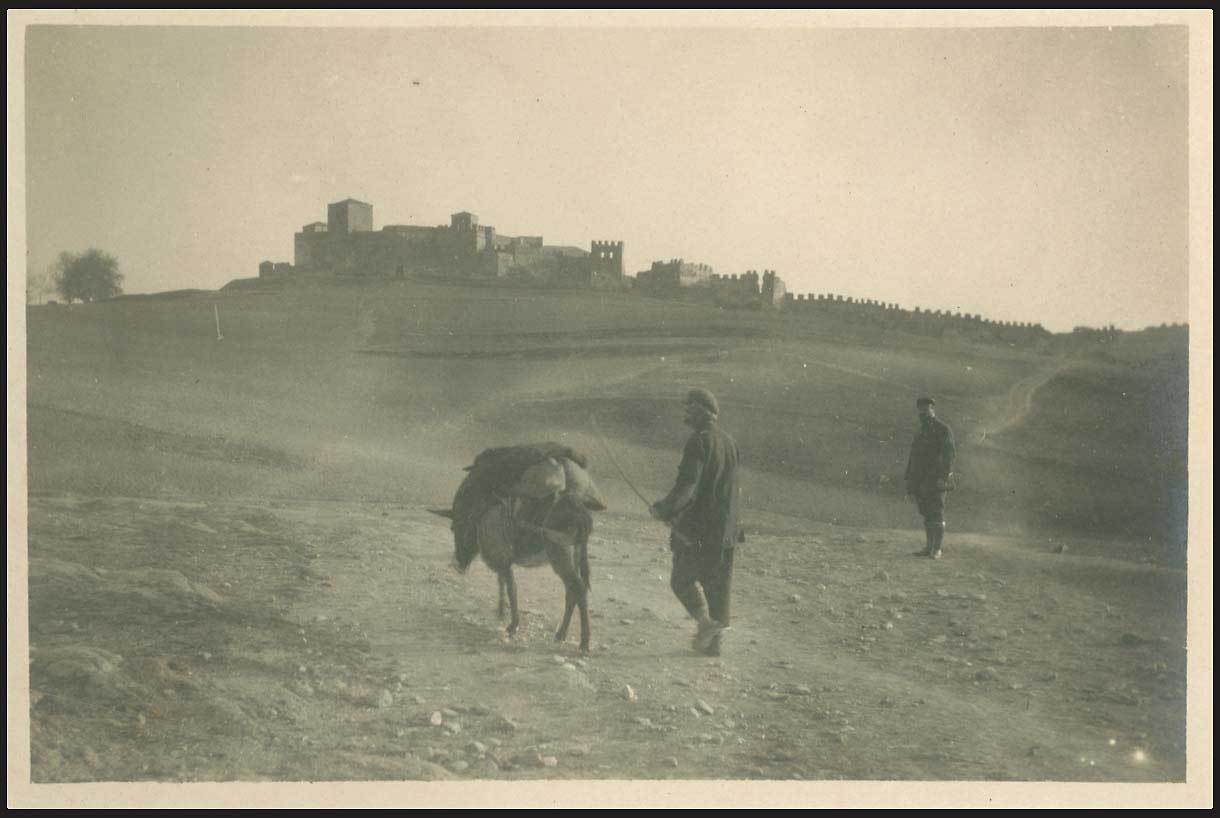 Lot 03005