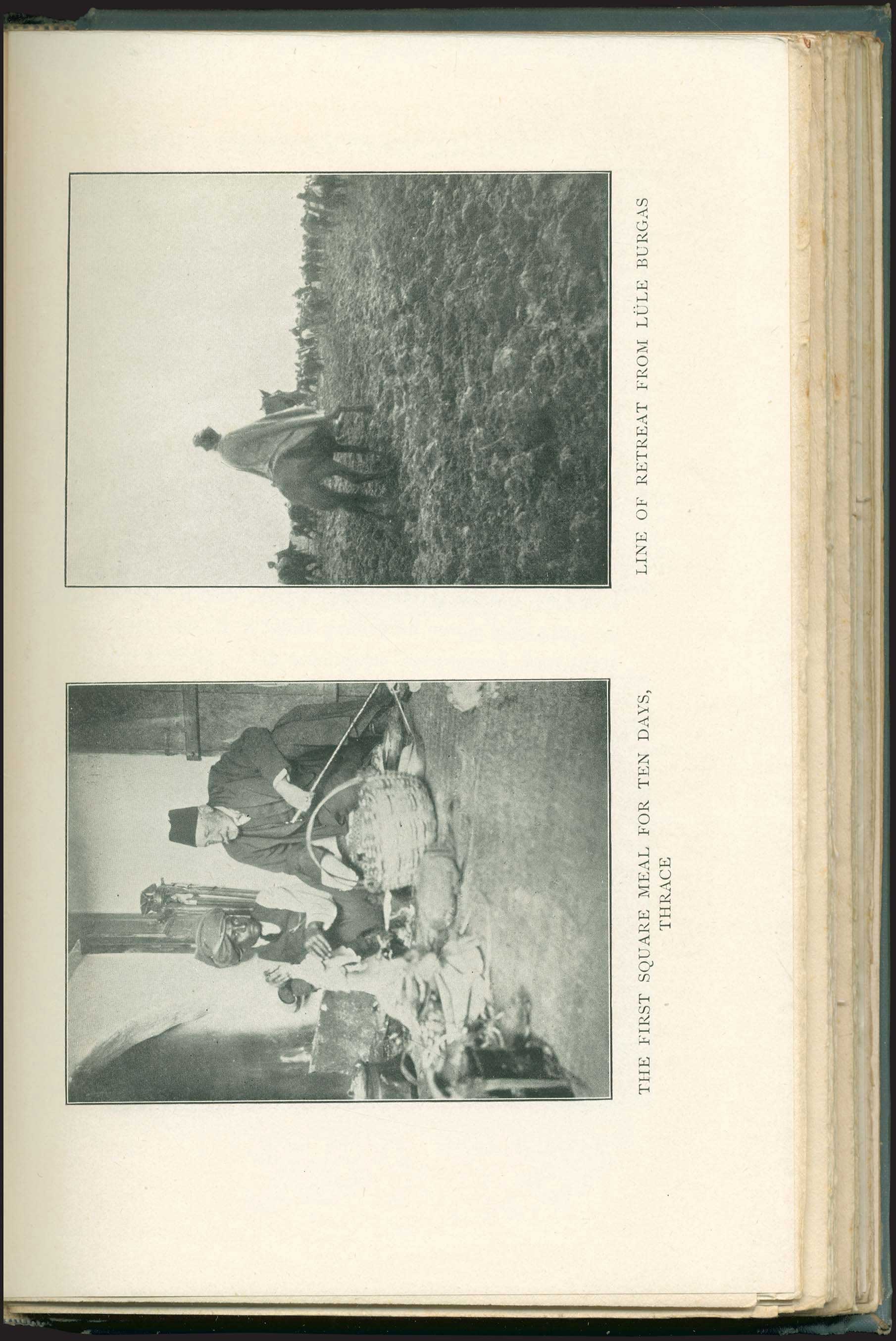 Lot 03373