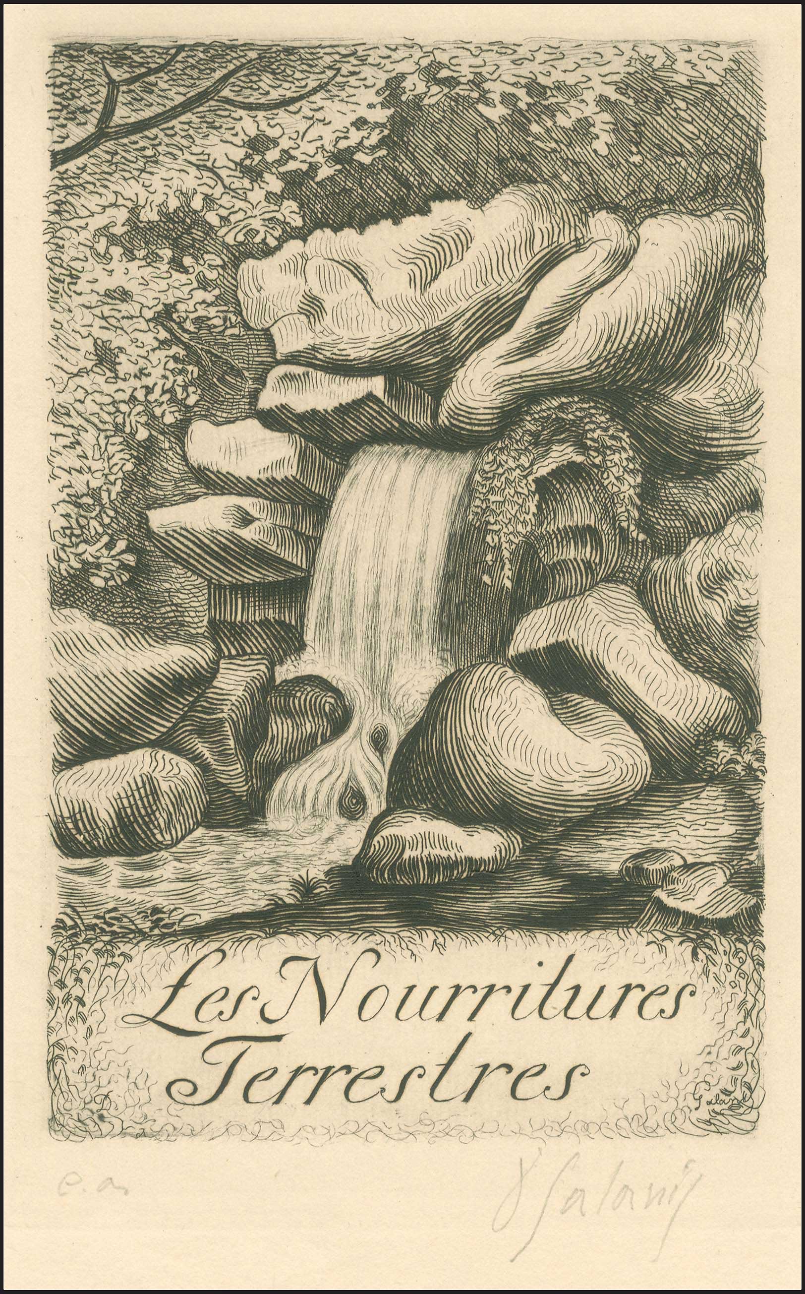 Lot 03514