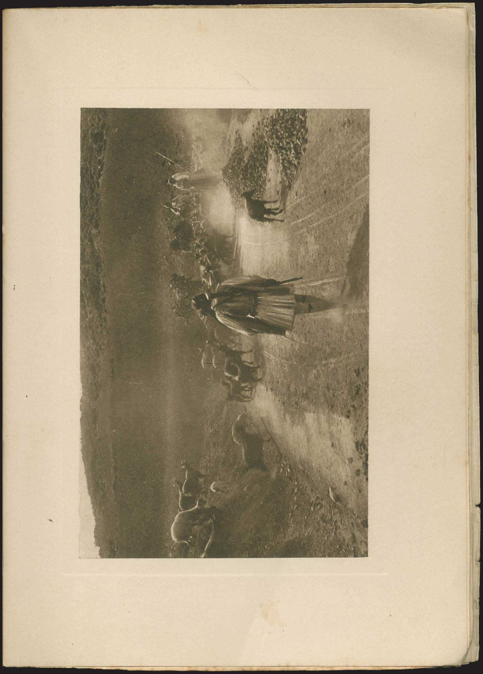 Lot 03376