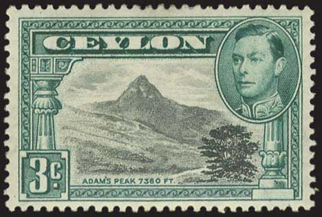 Lot 01824