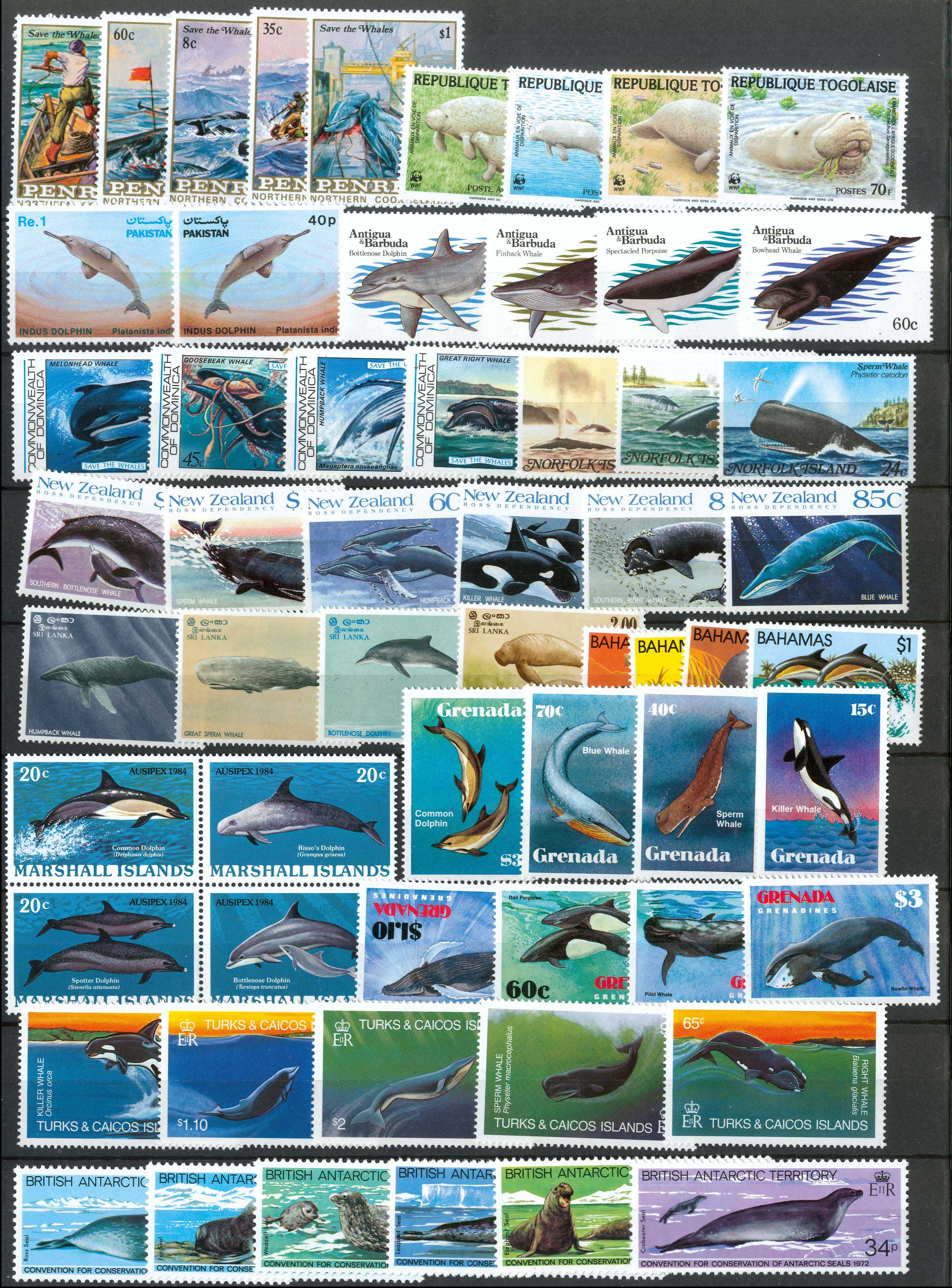 Lot 01222