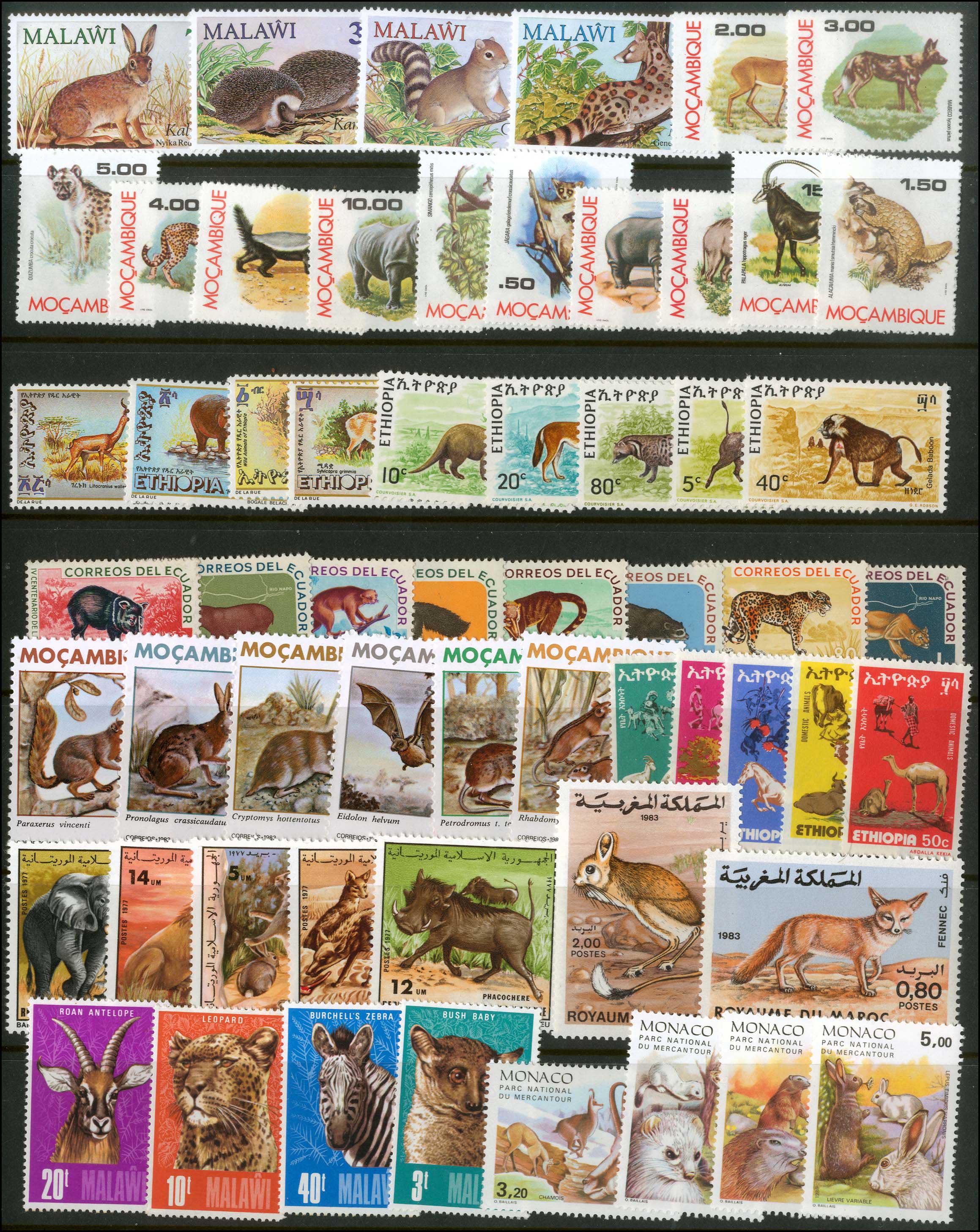 Lot 01223