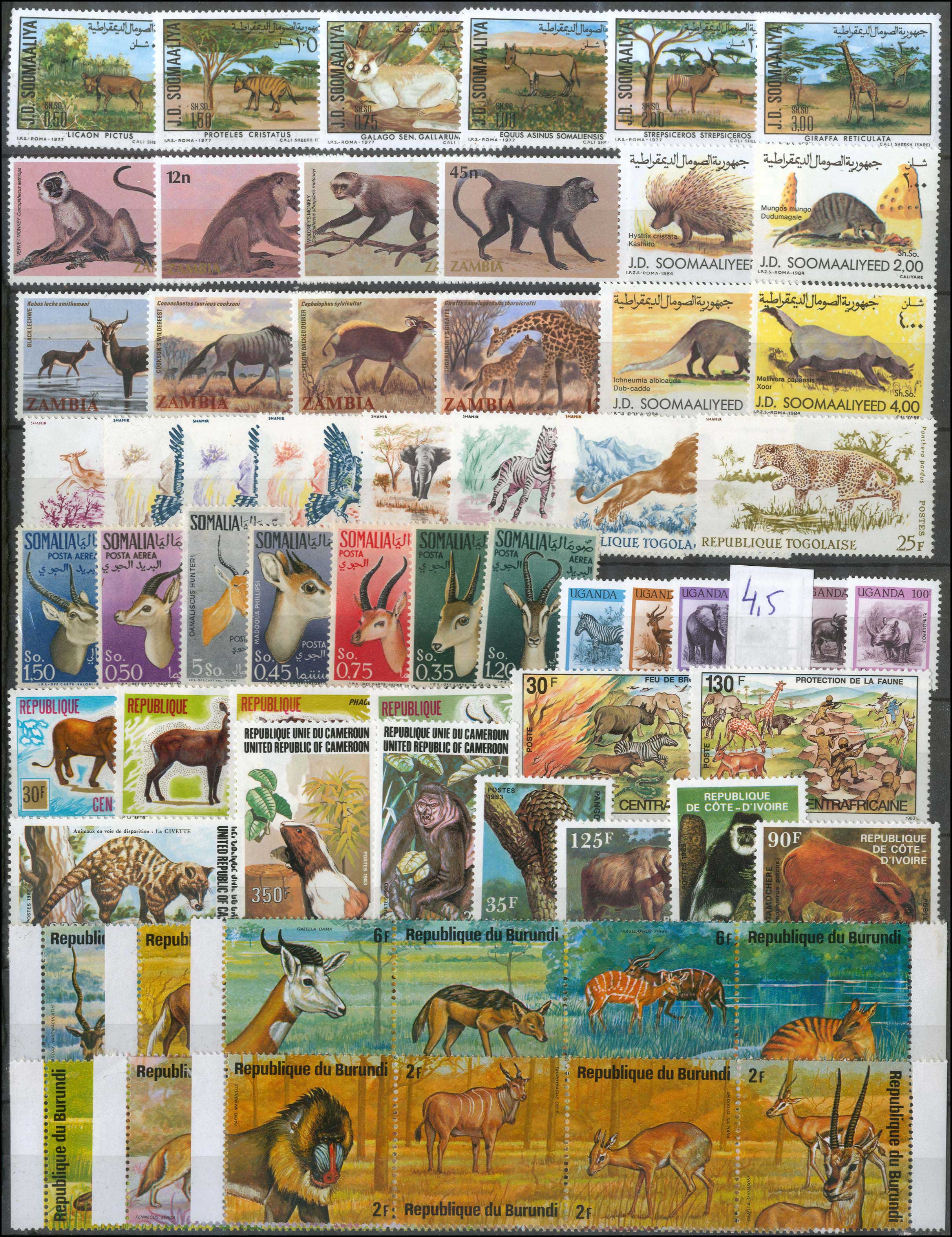 Lot 01903