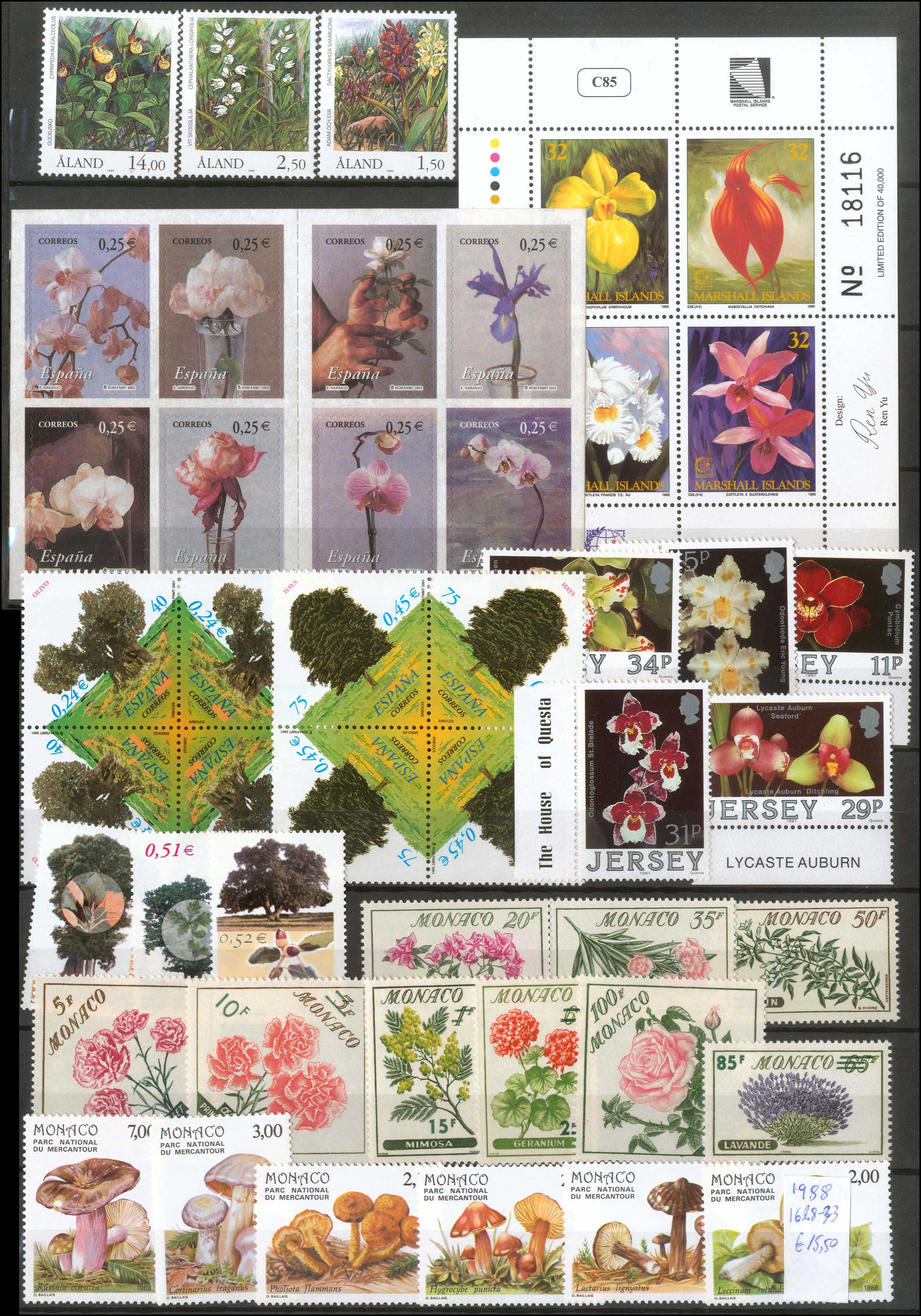 Lot 01898