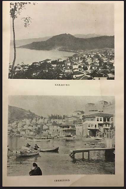 Lot 03448