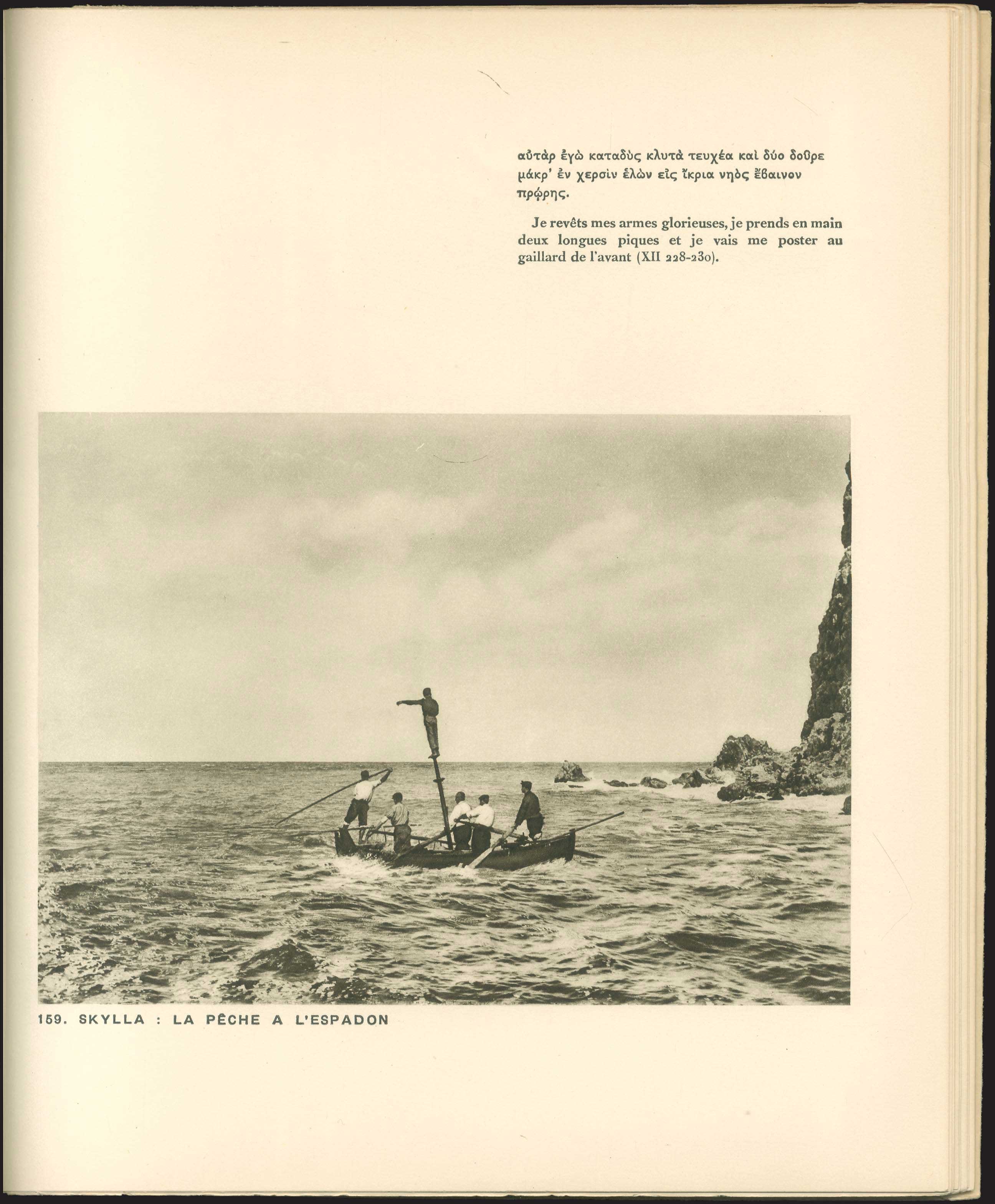 Lot 03392