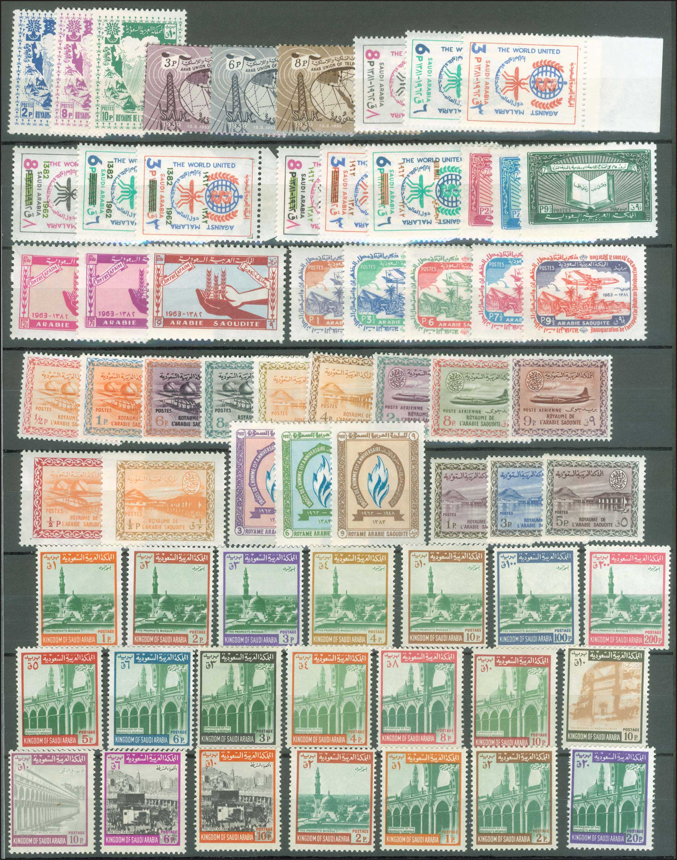Lot 04446