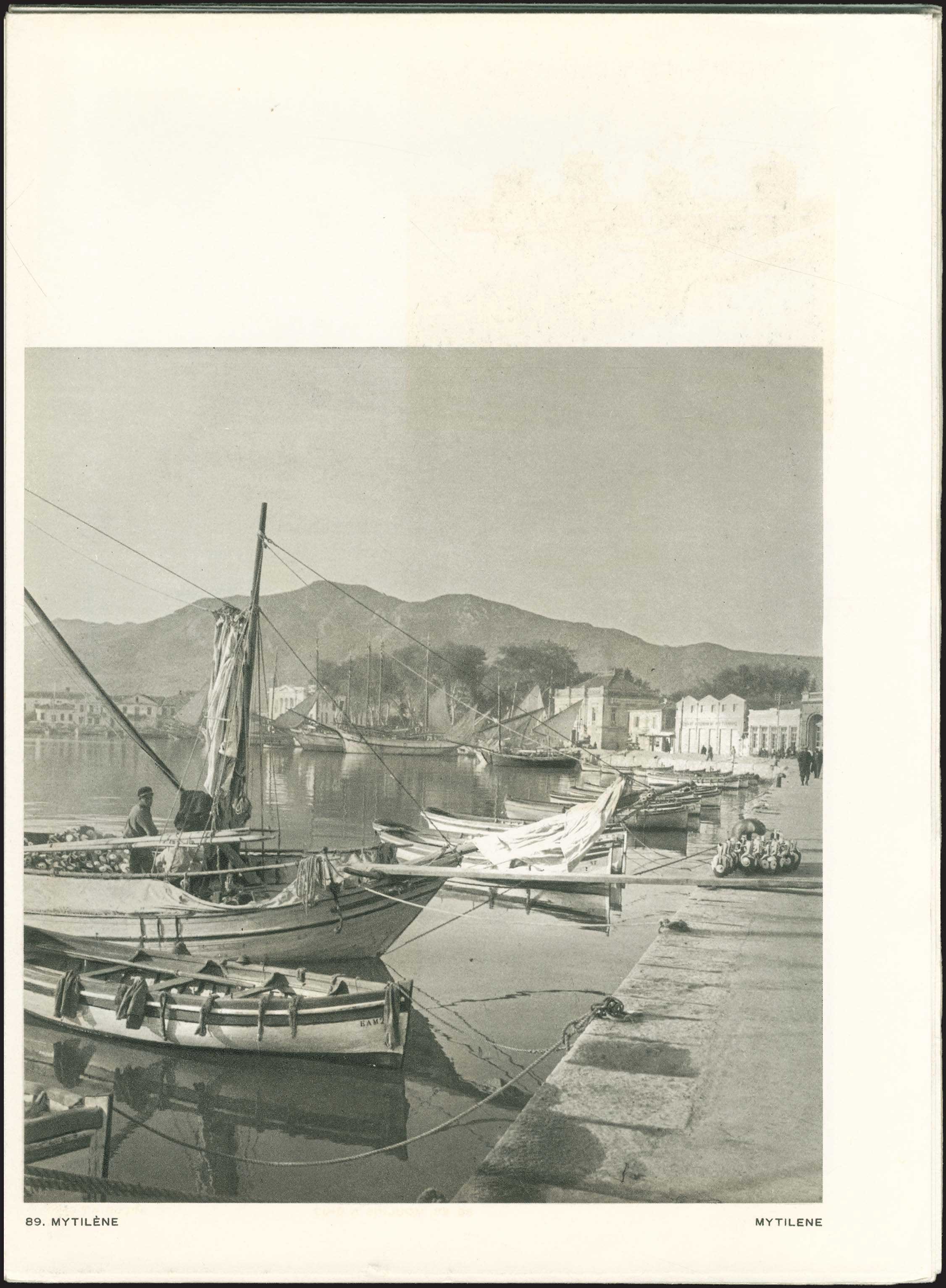 Lot 03417