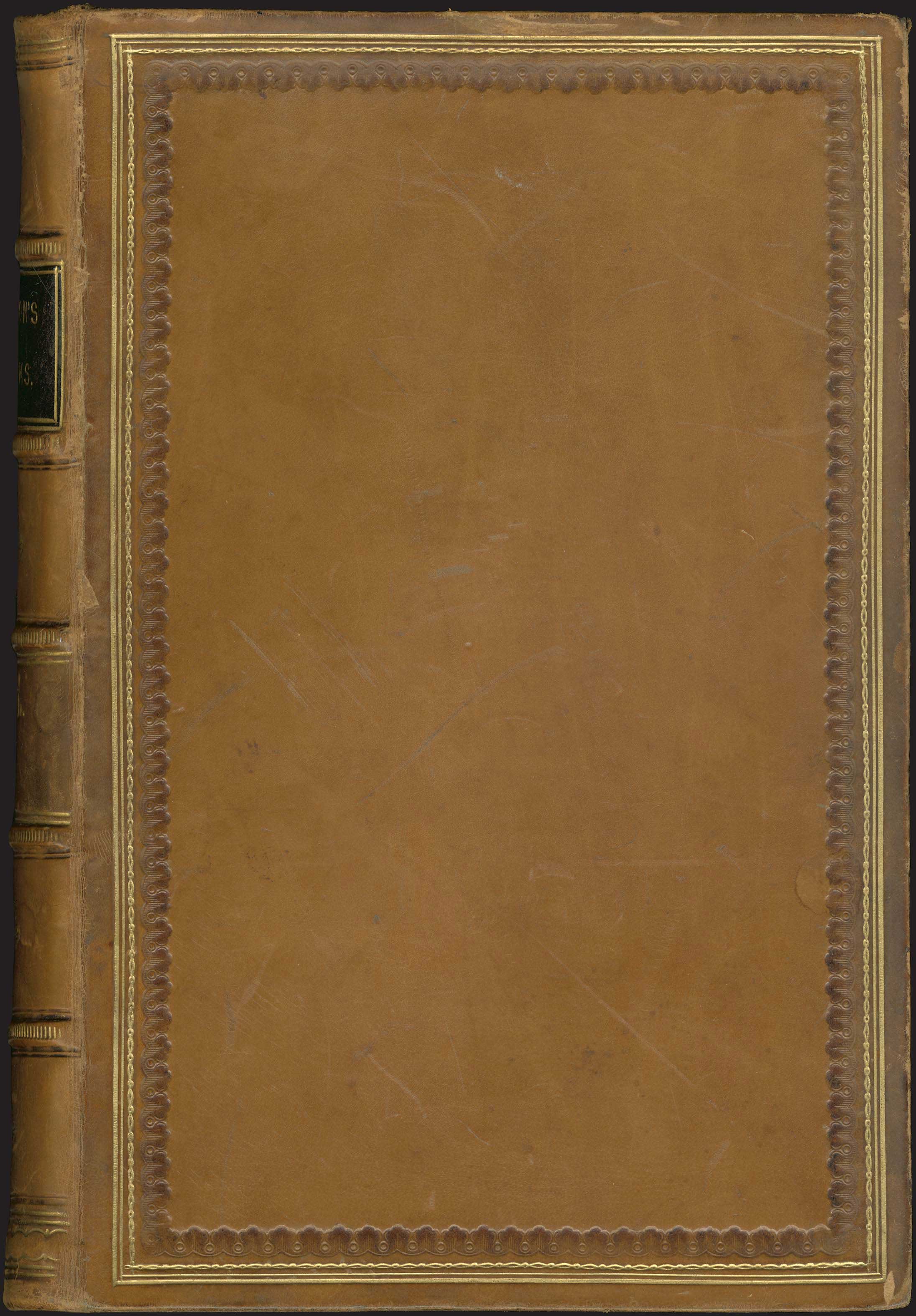 Lot 08119