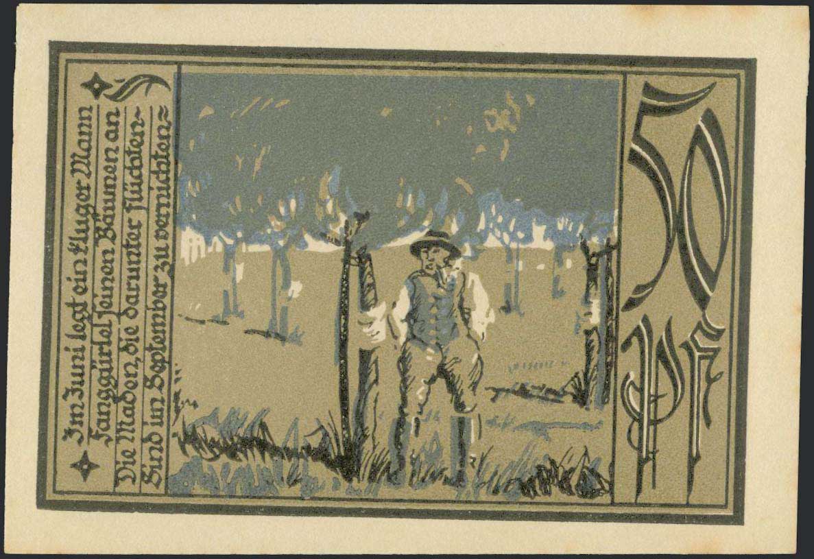 Lot 08375