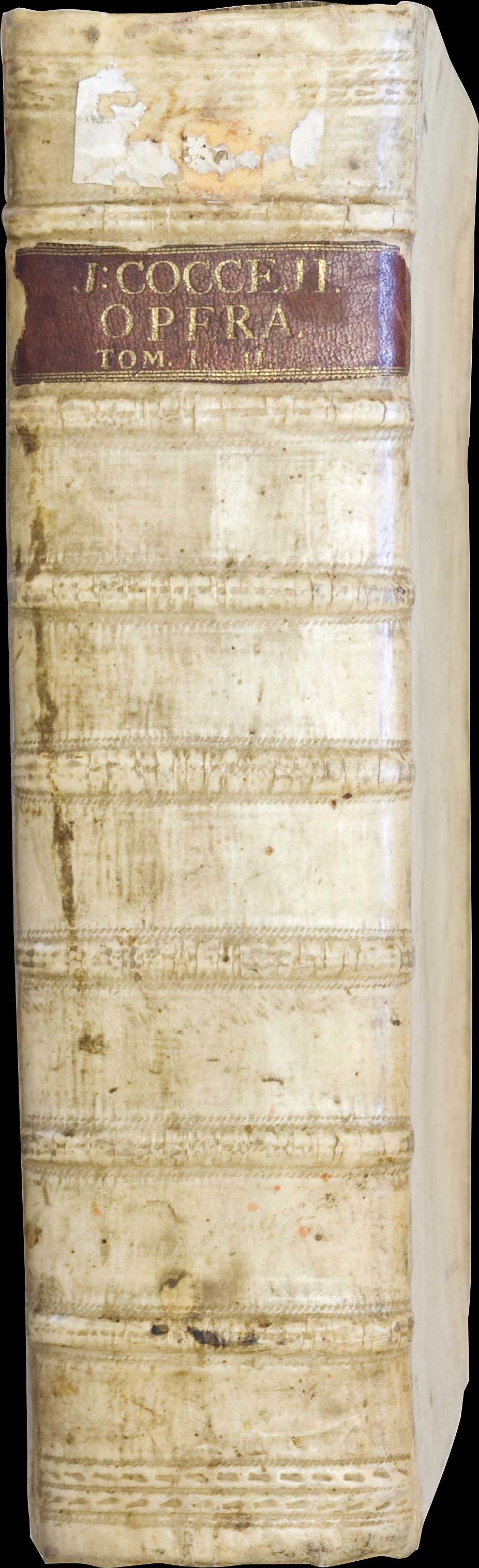 Lot 06099
