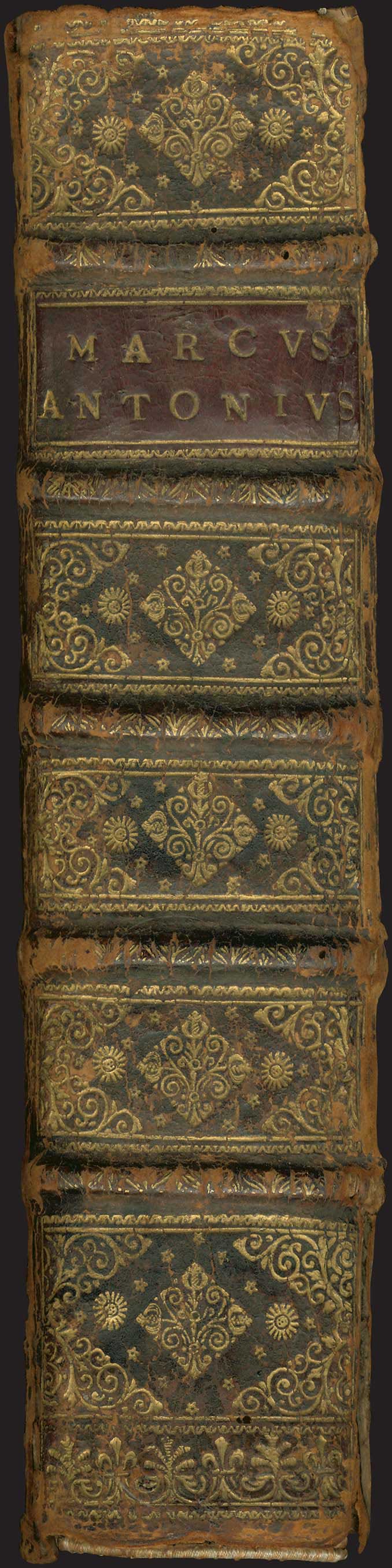 Lot 06098