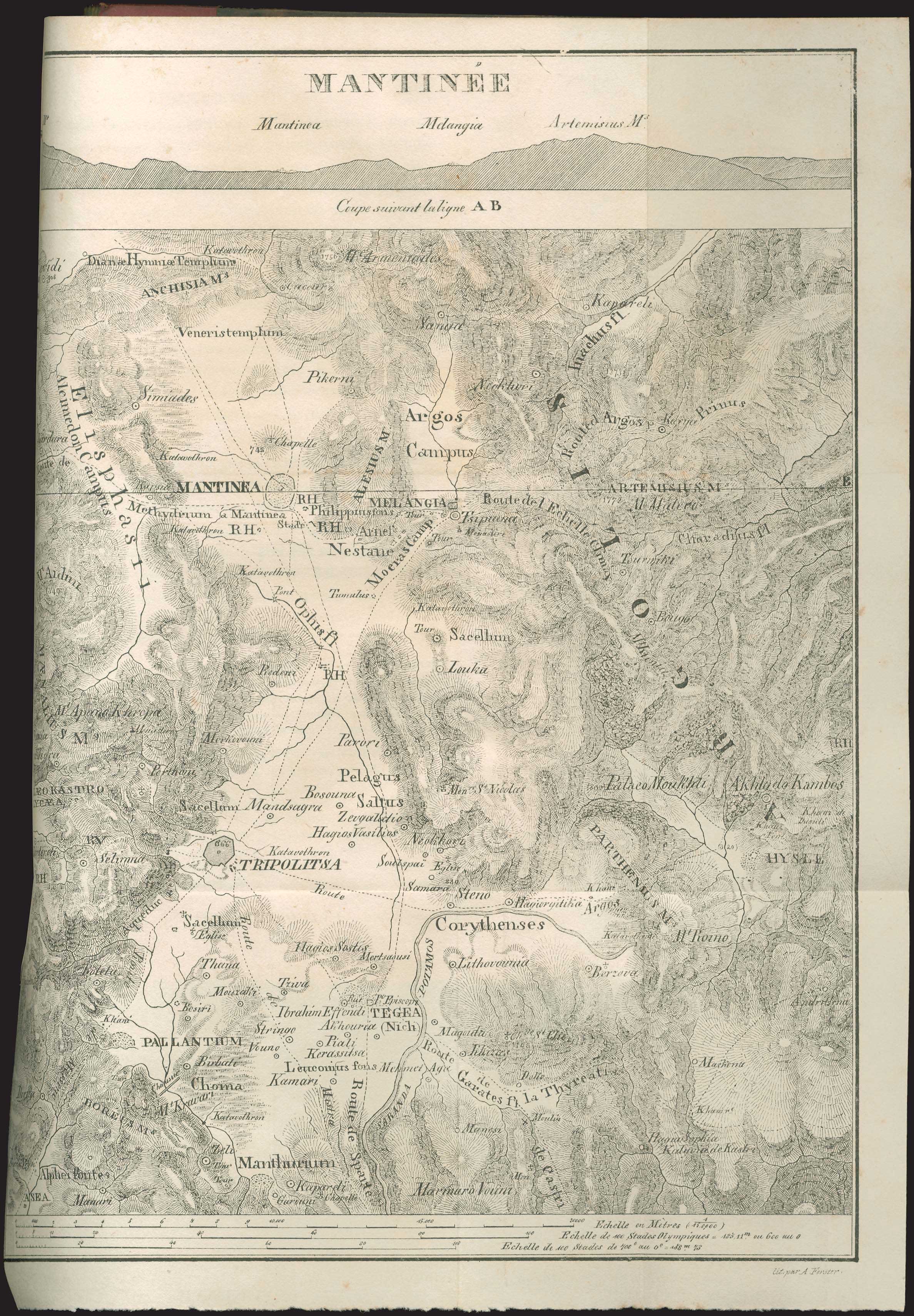 Lot 06271