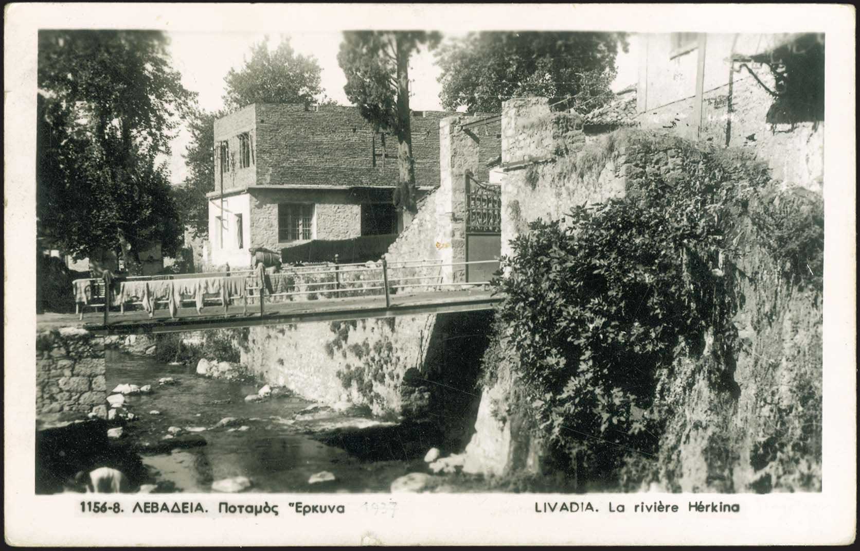 Lot 01556