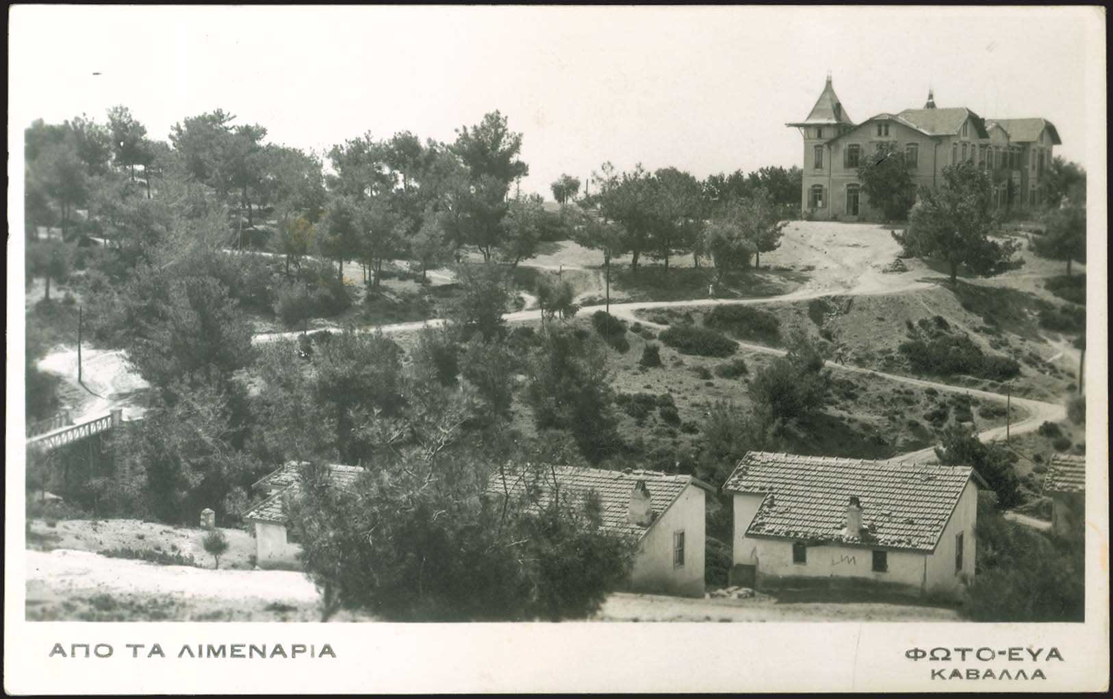 Lot 01619
