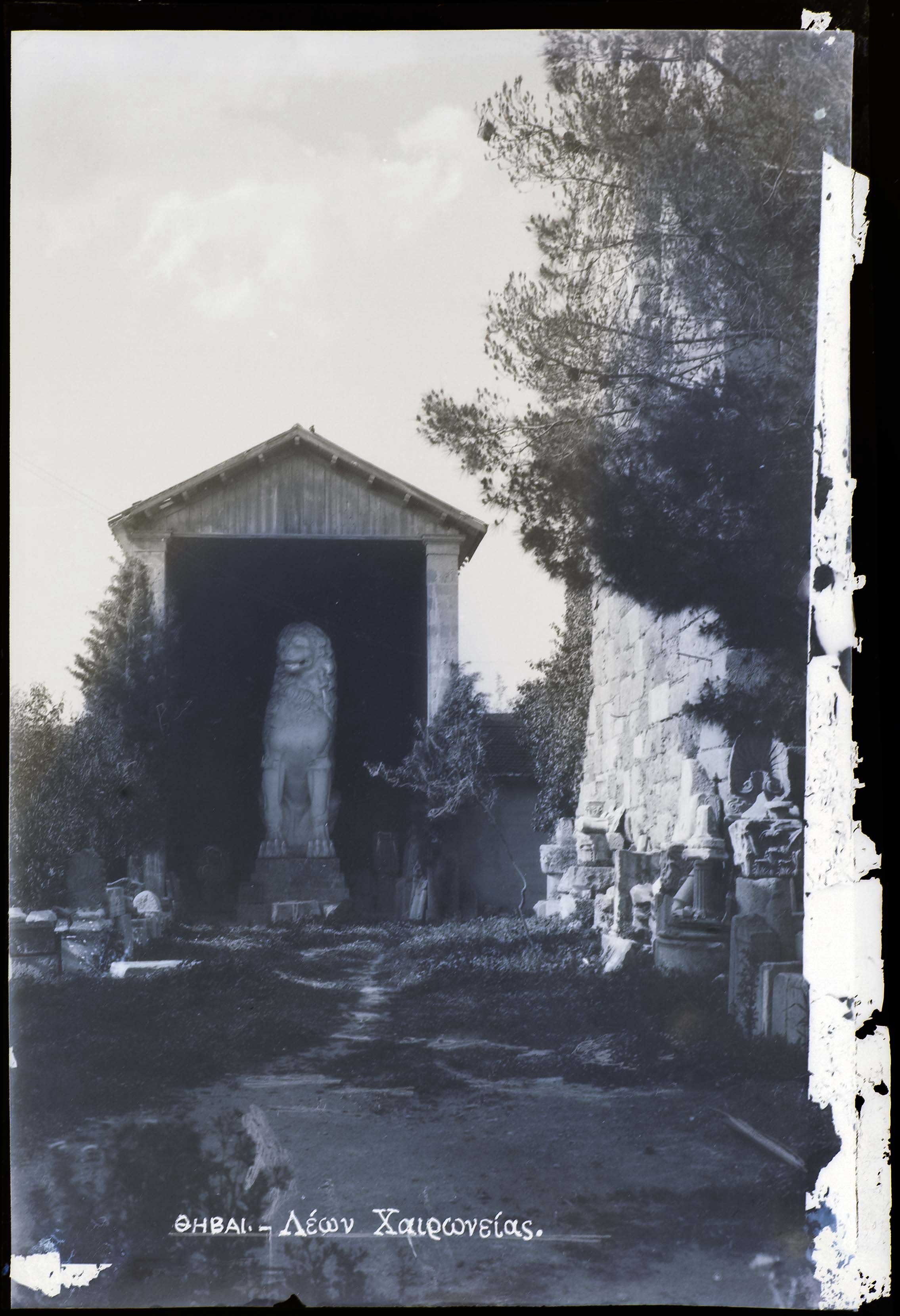 Lot 06507