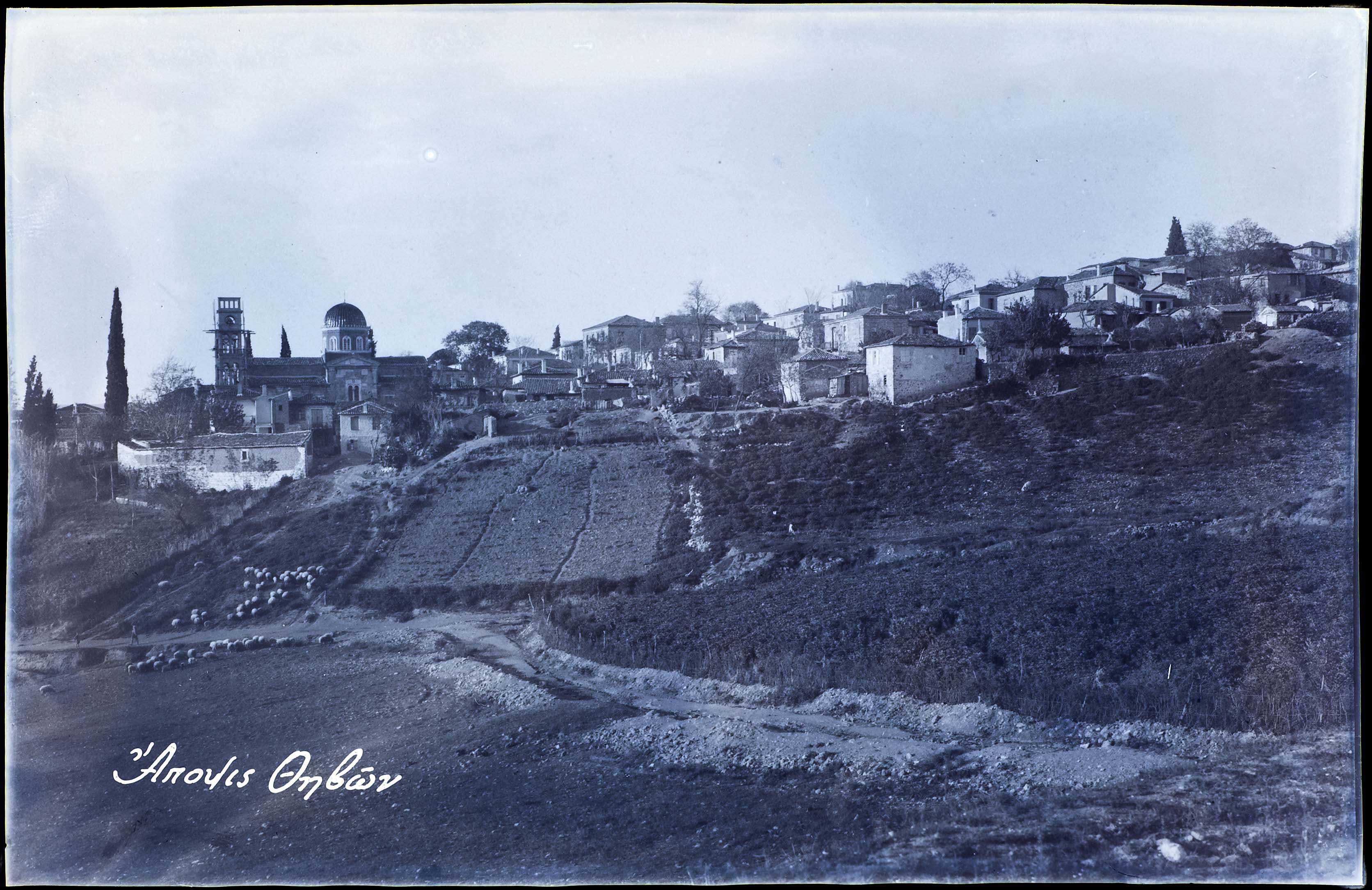 Lot 06507