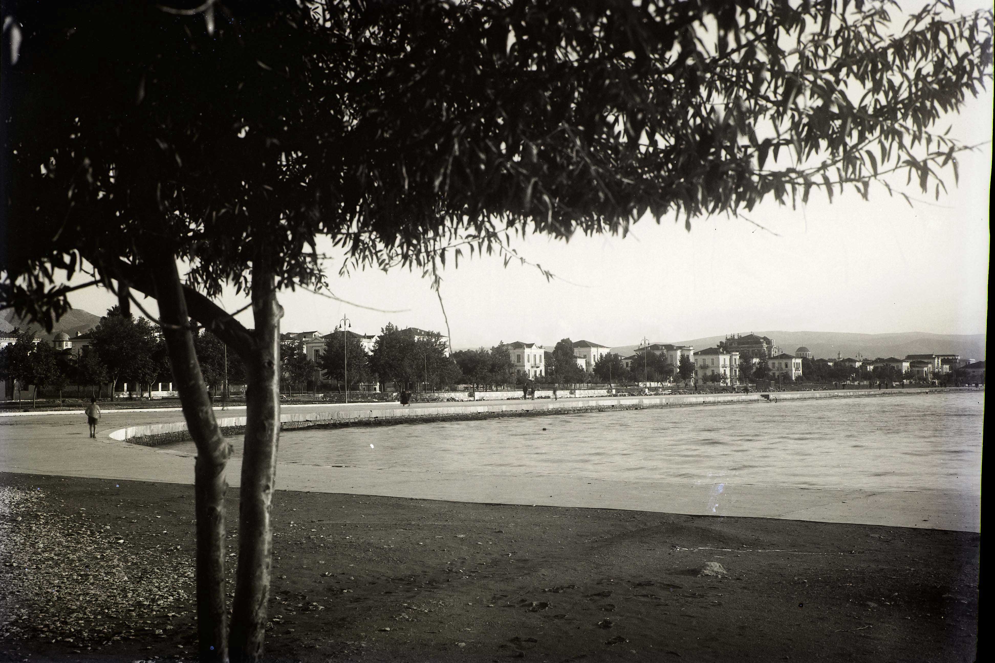 Lot 06502