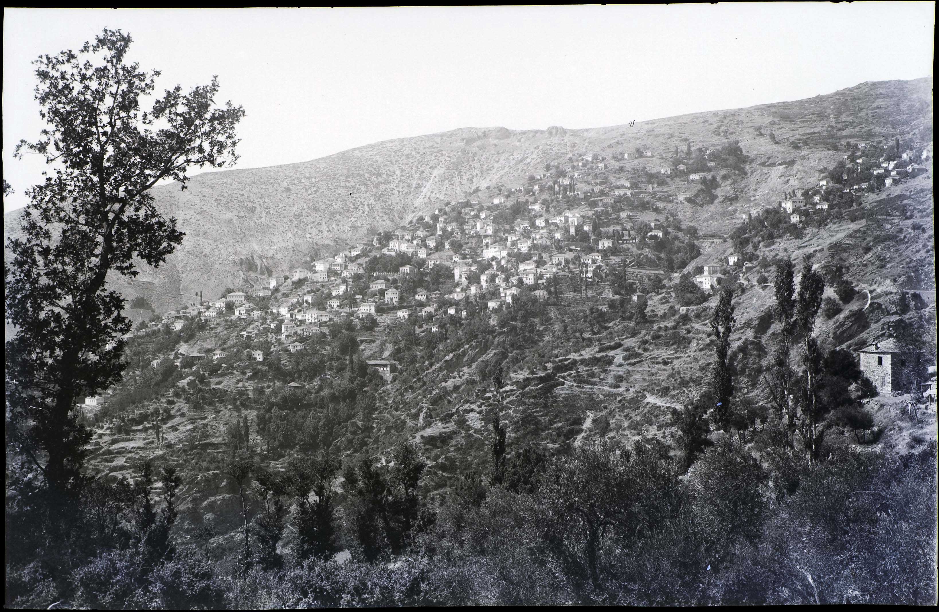 Lot 06494