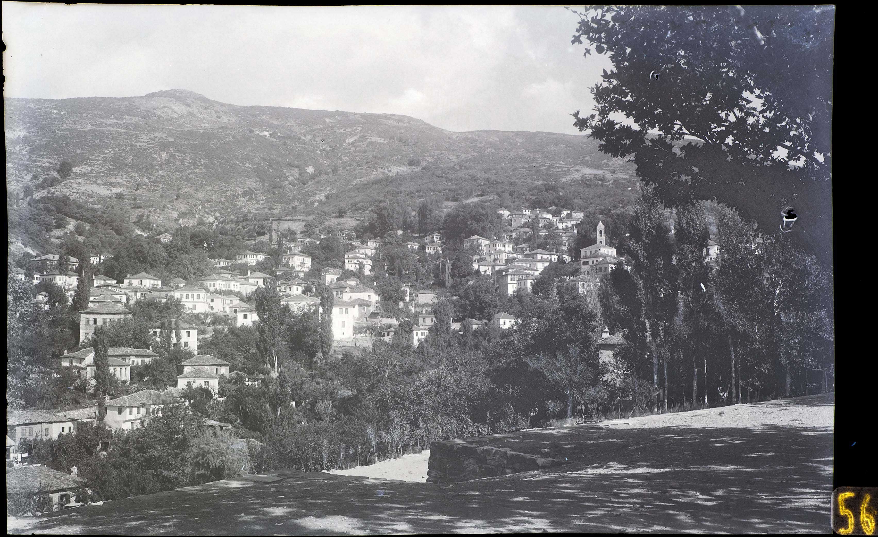 Lot 06494