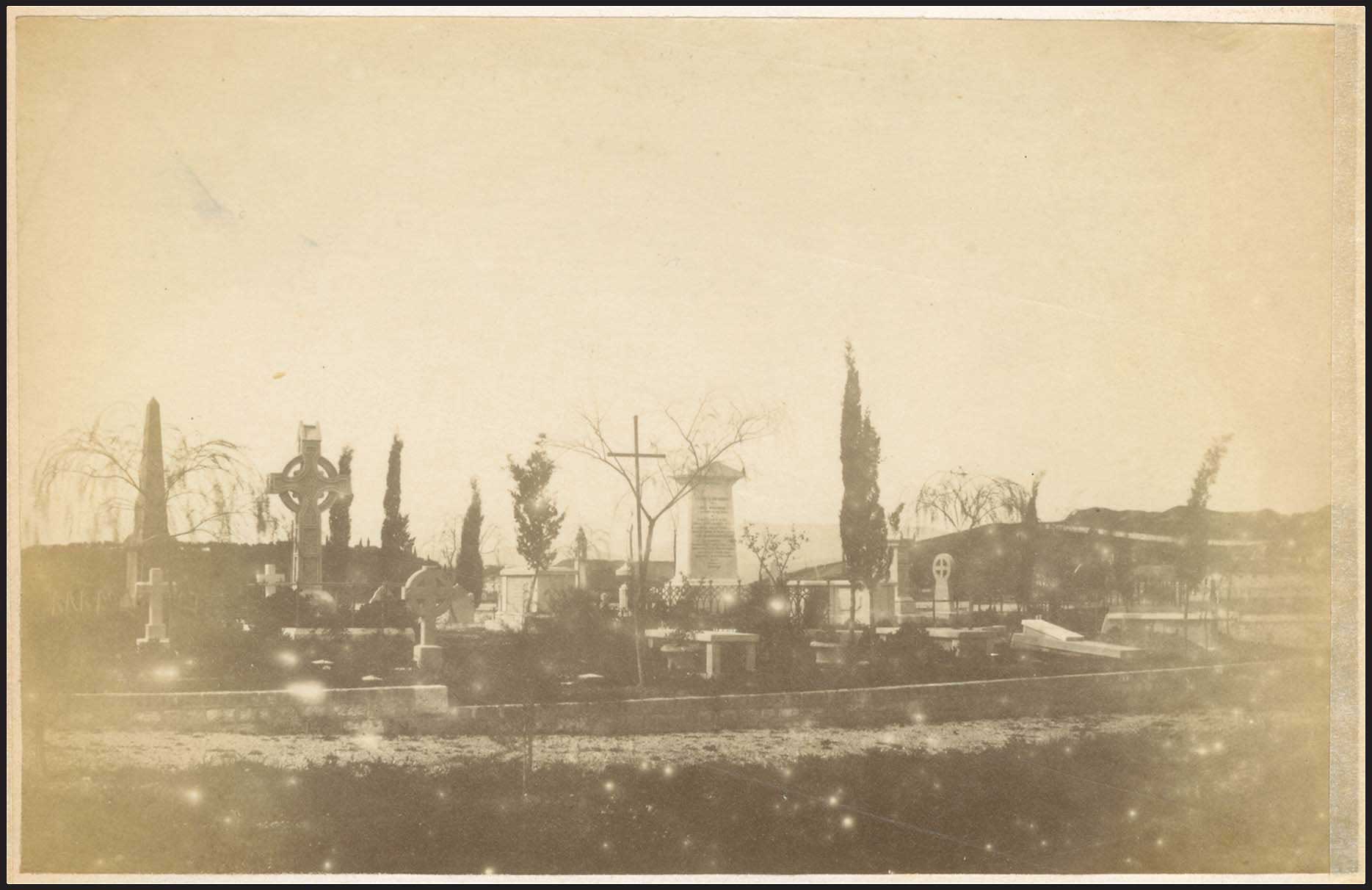 Lot 03607