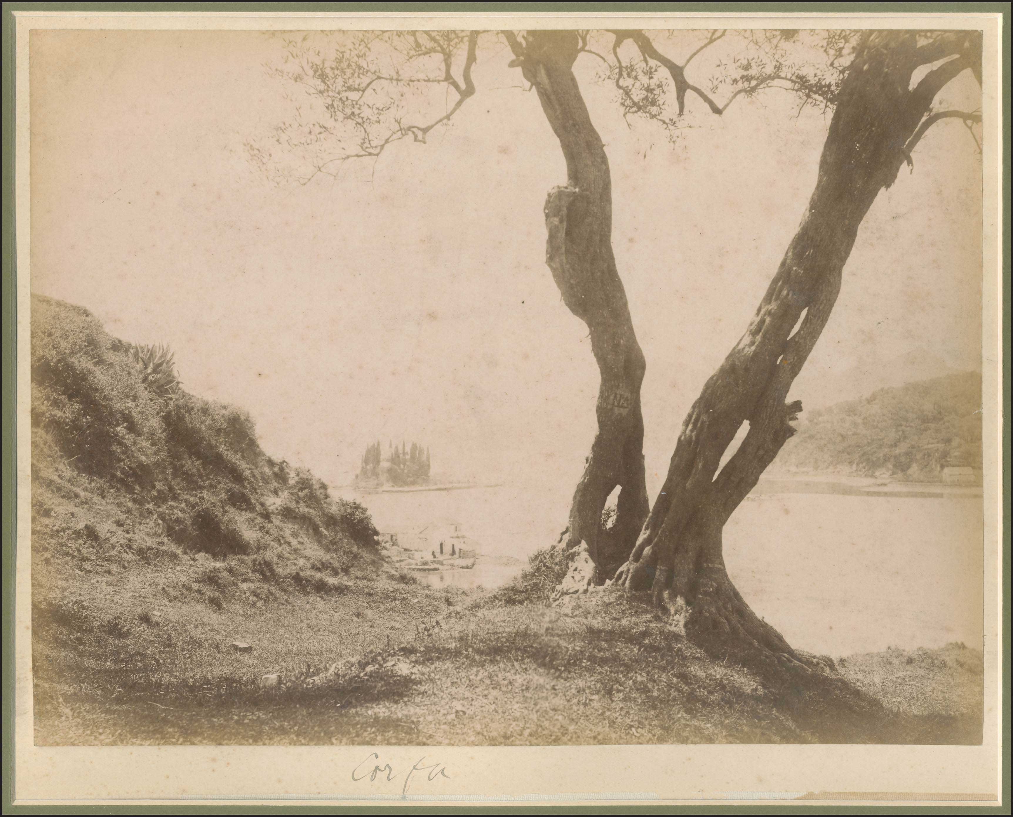 Lot 03628