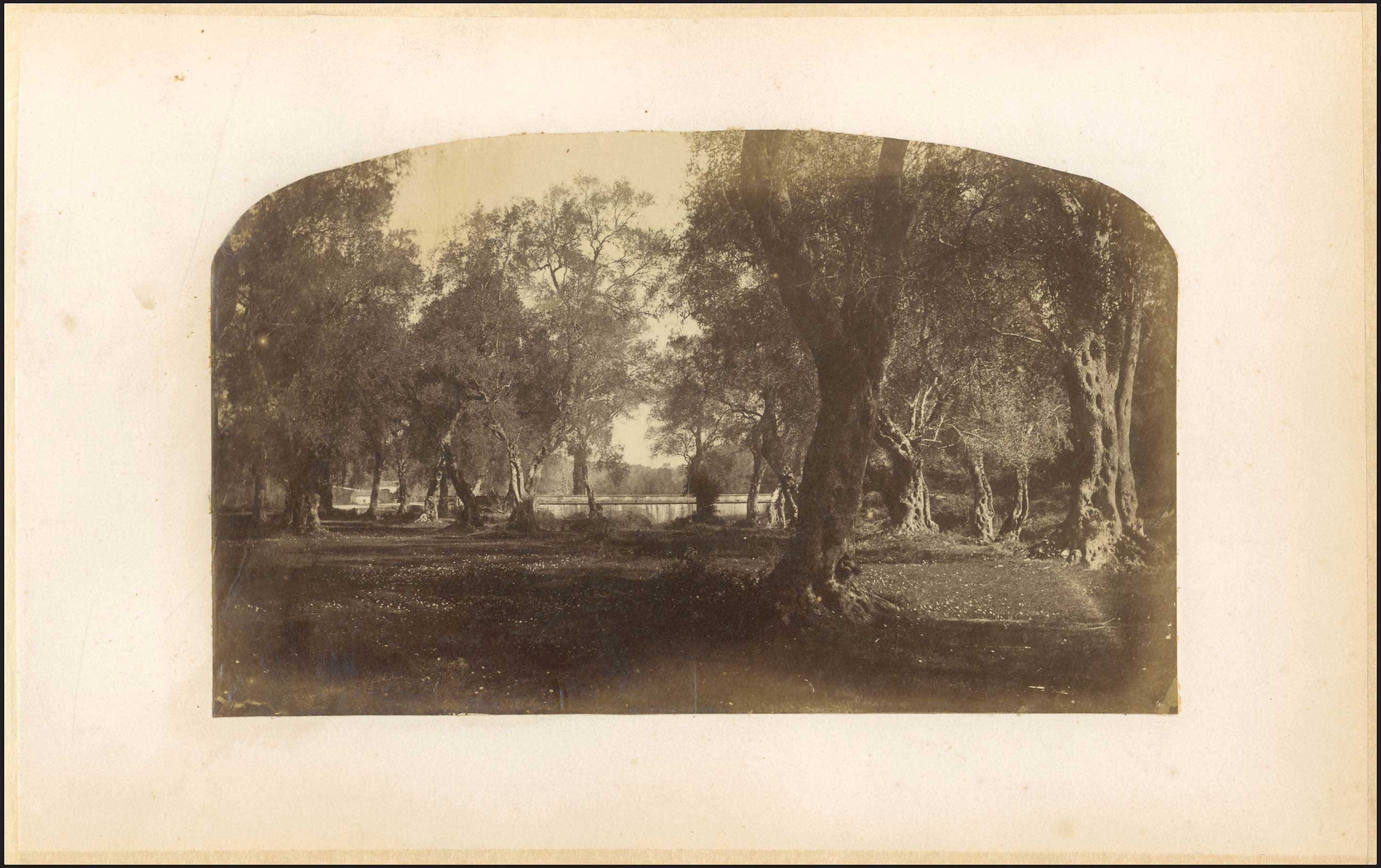 Lot 03608