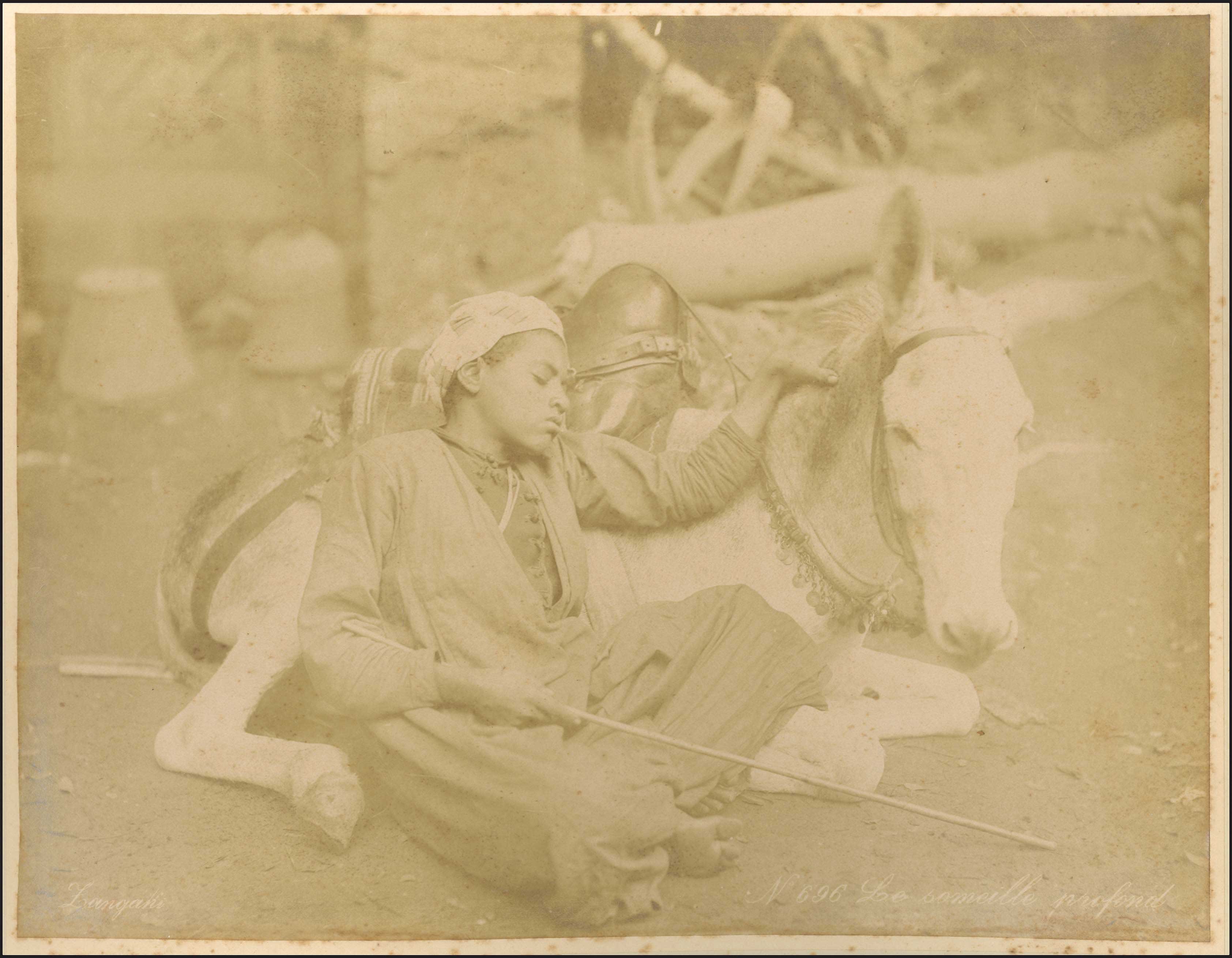 Lot 03629